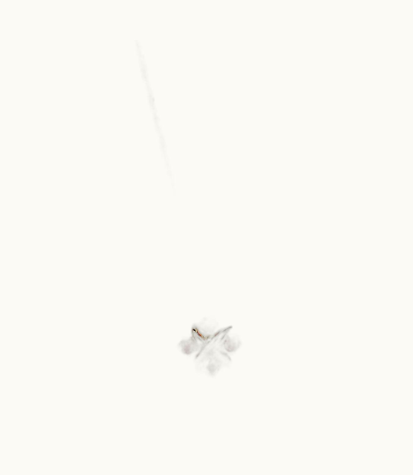 Tiffany & Co Tiffany & Co. Schlumberger Lynn Pendant In 18Ct Gold With Rubies