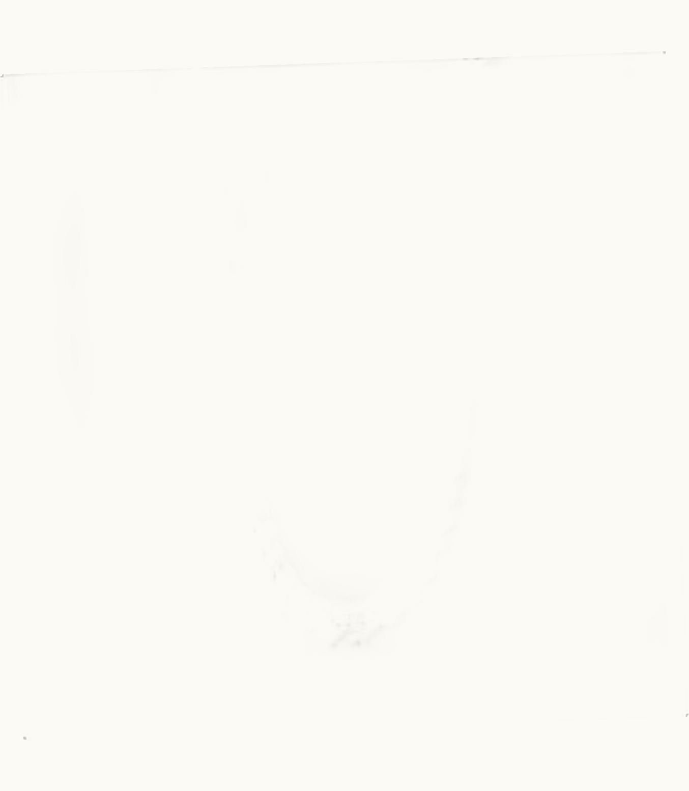 Tiffany & Co Tiffany Forge Medium Link Necklace In Blackened Sterling Silver