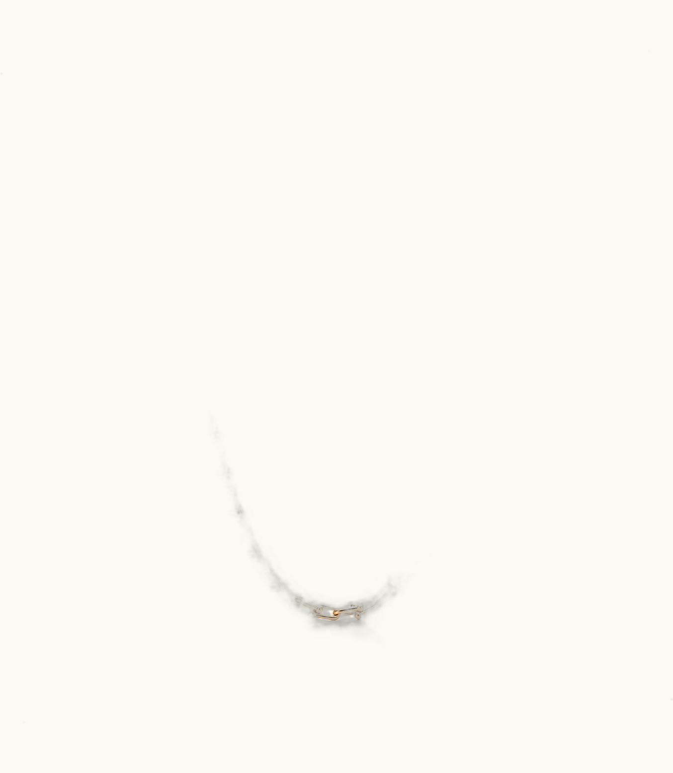 Tiffany & Co Tiffany Hardwear Small Link Necklace In Yellow Gold