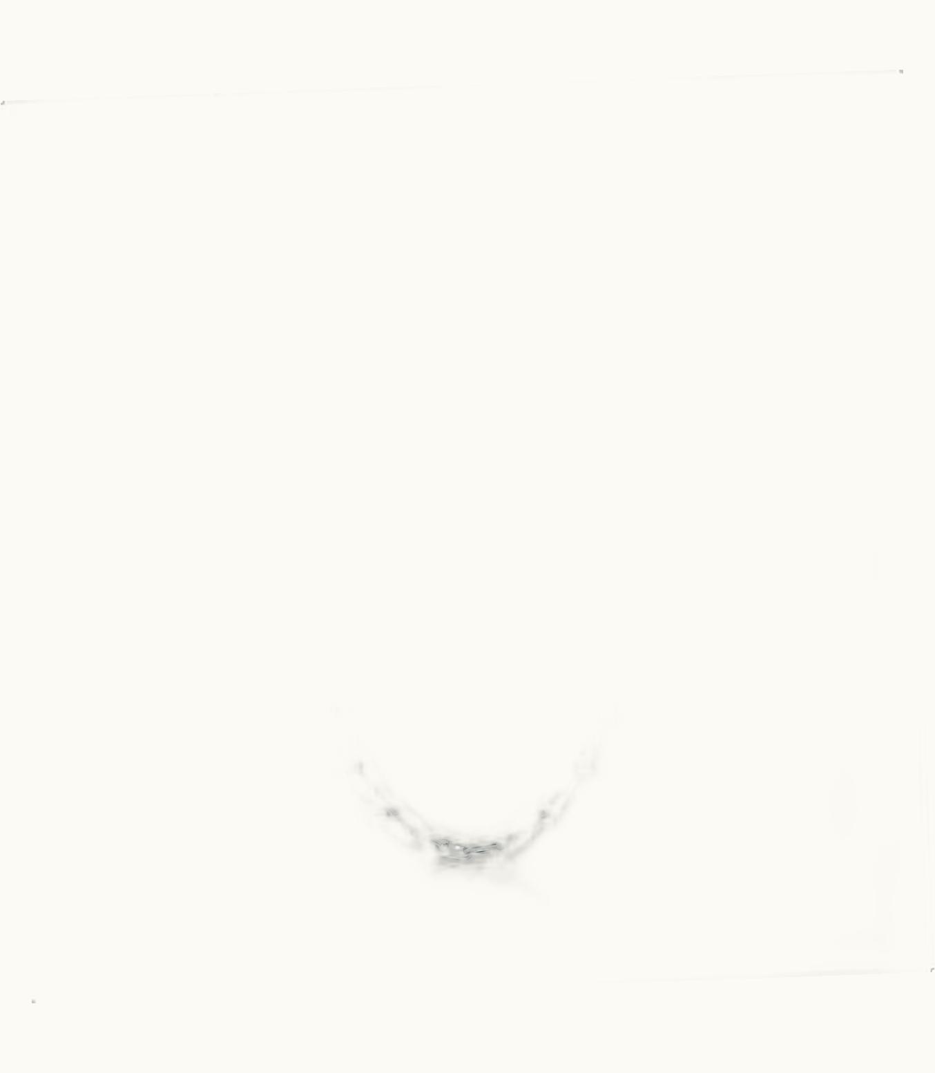 Tiffany & Co Tiffany Hardwear Small Link Necklace In Sterling Silver