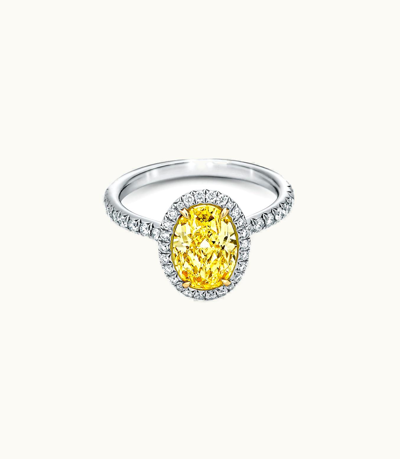 Tiffany & Co Tiffany Soleste Oval Halo Engagement Ring With A Diamond Band In Platinum