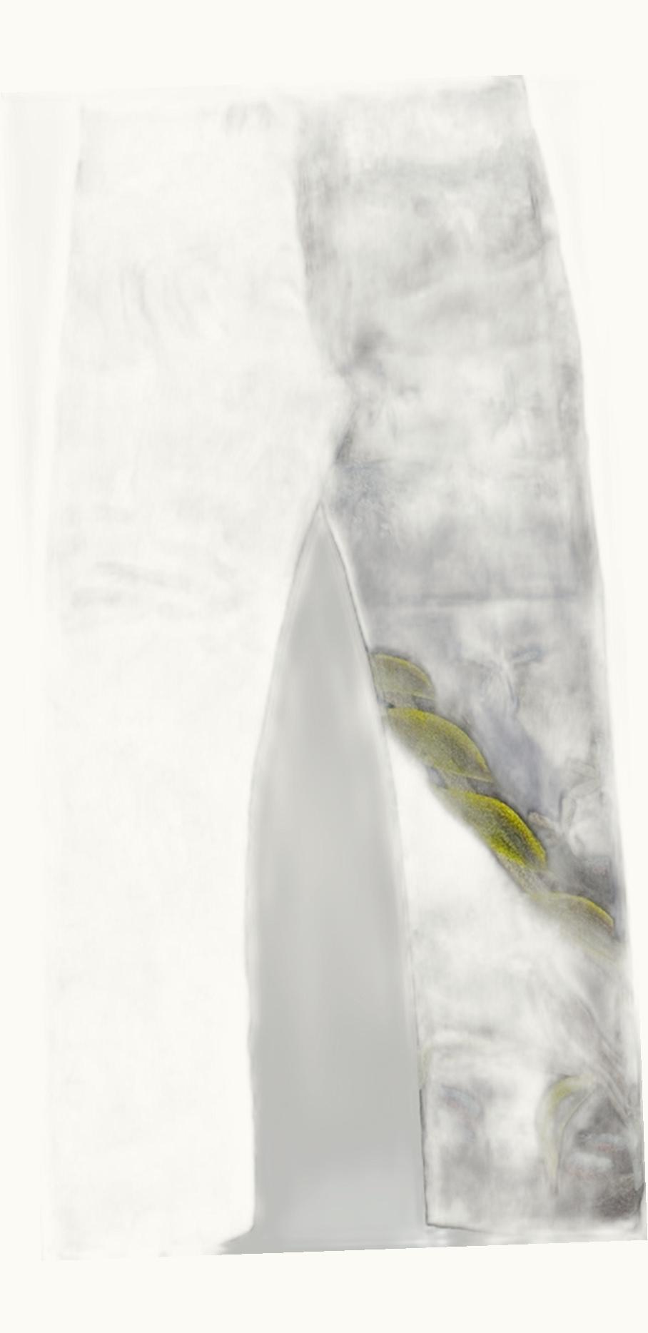 Dries Van Noten Dries Van Noten Psyched Aquarium Jeans S/S 2015