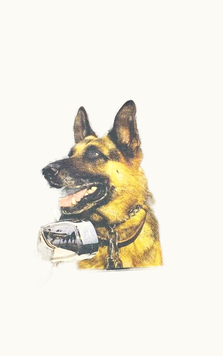 Balenciaga Balenciaga “police” K9 Graphic Sleeveless Tank-Top S/S 2005