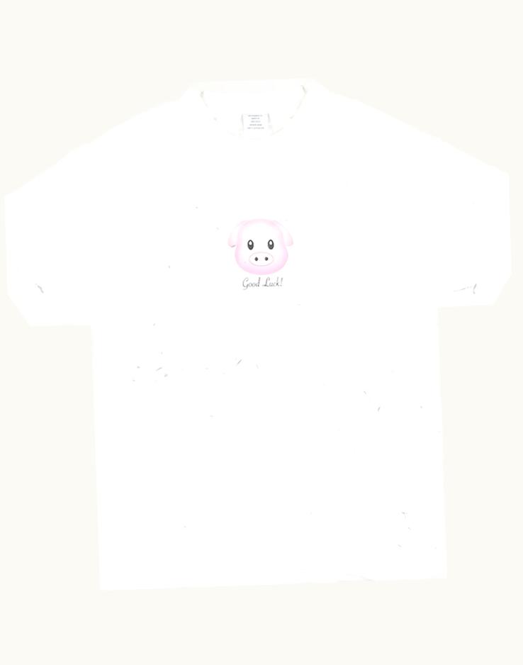 VETEMENTS Vetements Year Of The Pig Good Luck Calendar T-Shirt A/W 2018
