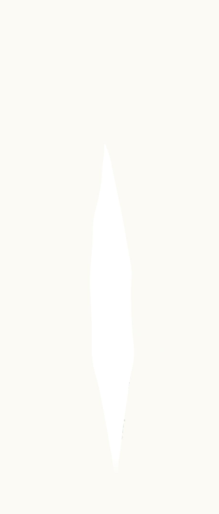 Dolce & Gabbana Dolce & Gabbana Multi-Zipper Trousers S/S 2020