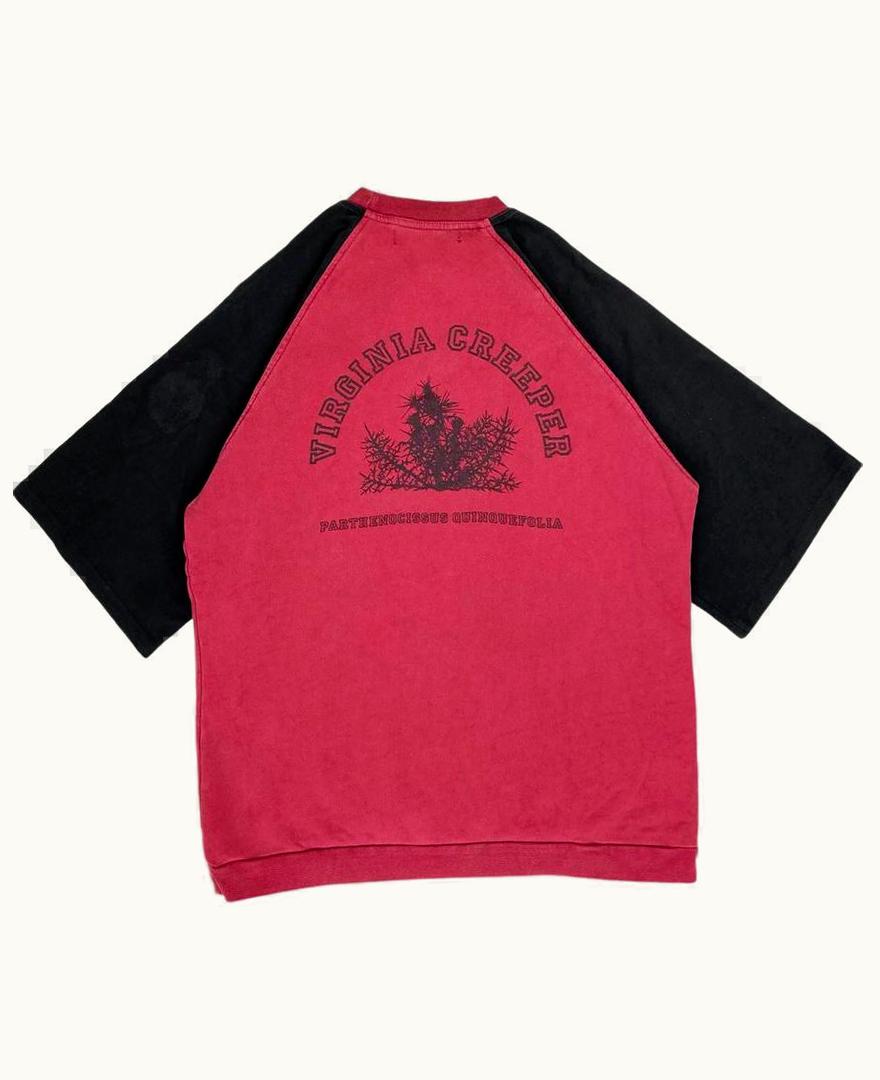 Raf Simons Raf Simons “virginia Creeper” Short-Sleeve Raglan Sweatshirt A/W 2002