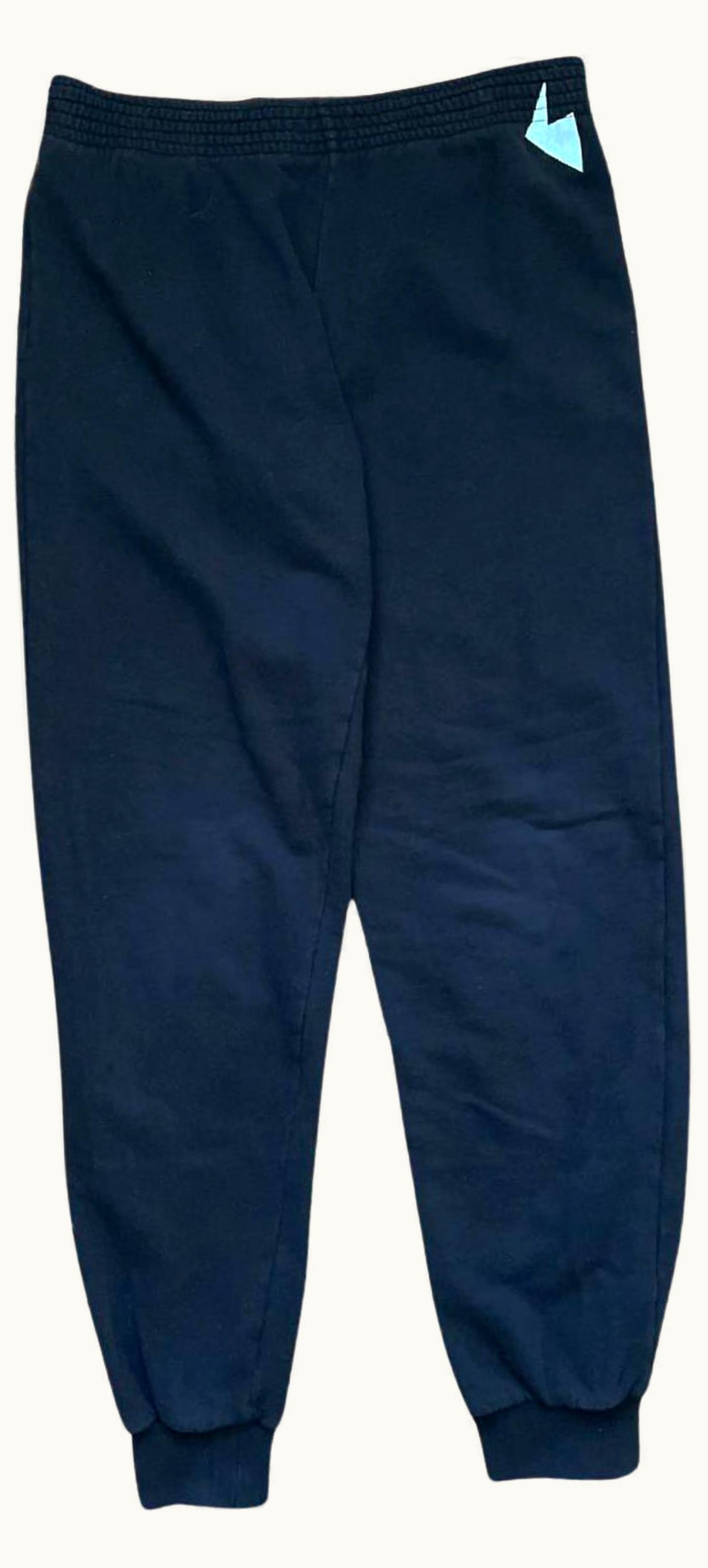 Raf Simons Raf Simons “history Of The World” Lightning Bolt Print Sweatpants S/S 2005