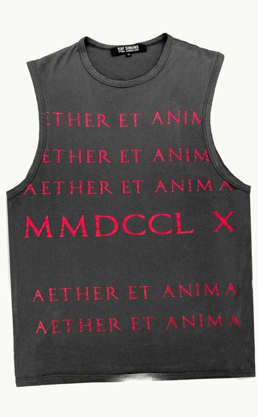 Raf Simons Raf Simons “icarus Surgit” Mmdcclix Oversized Tank-Top S/S 2006