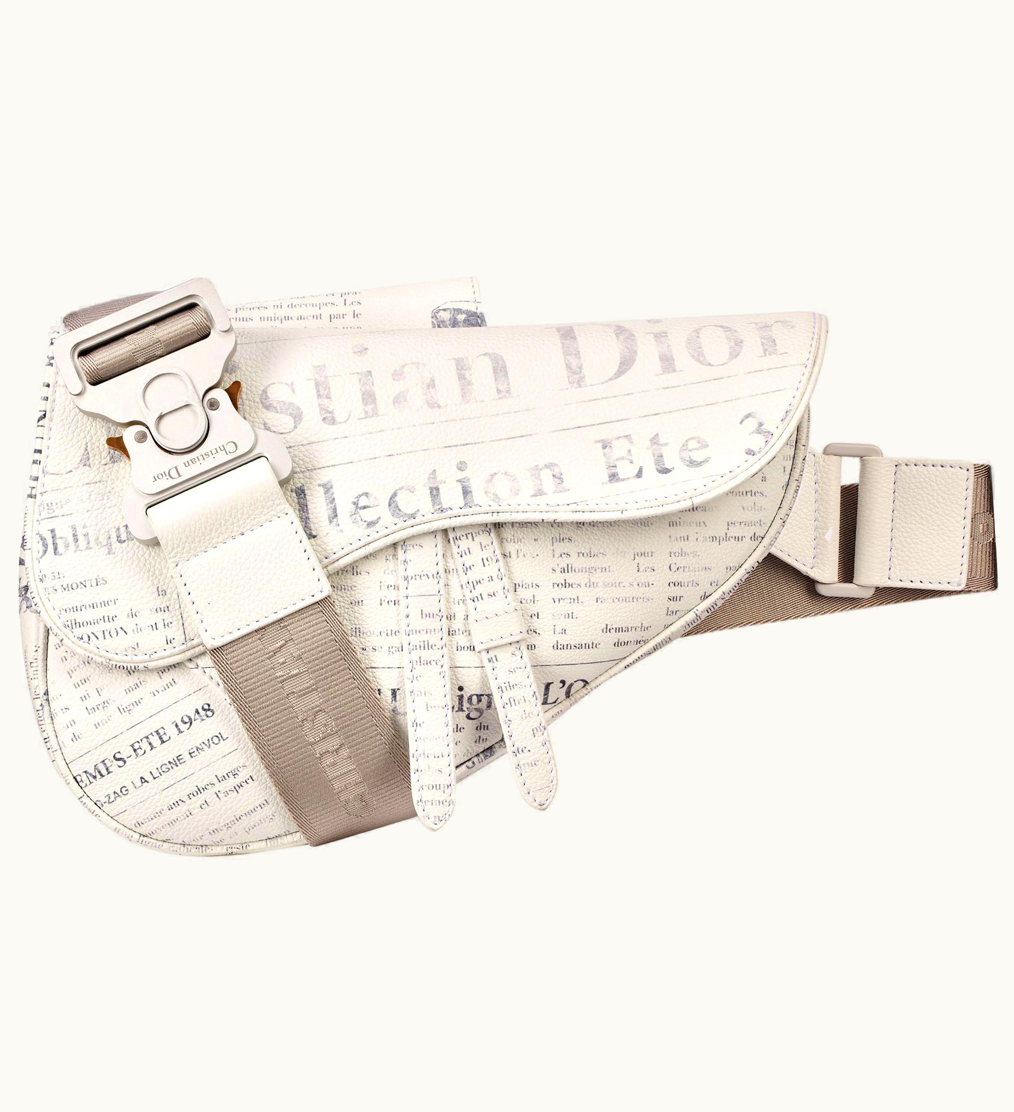 Dior Dior x Daniel Arsham Saddle Pouch White