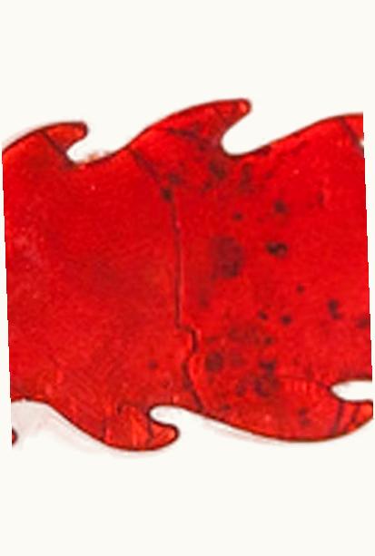 Raf Simons Raf Simons Flame Silver Plated Pin A/W 2017