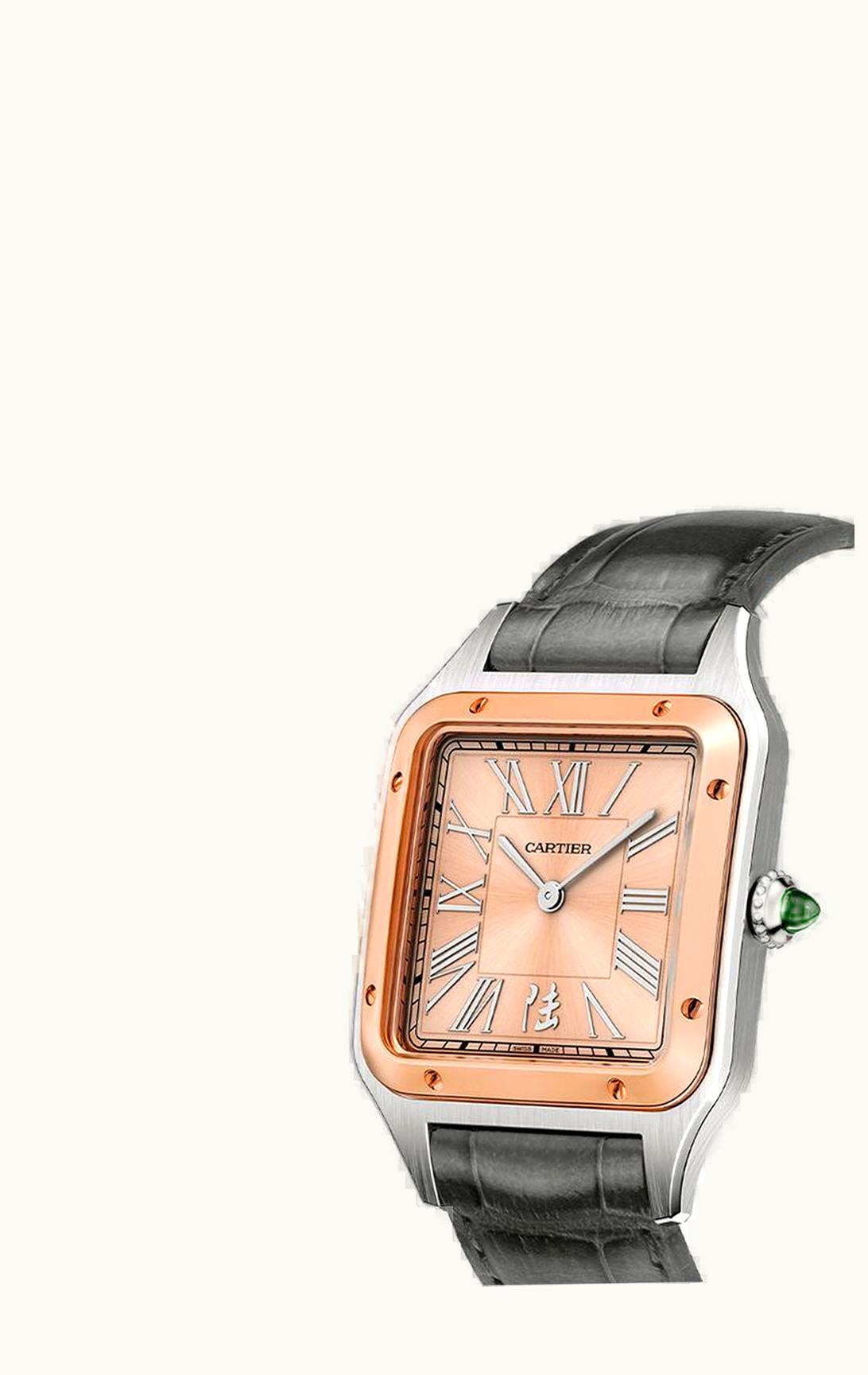 Cartier Santos Dumont 31.4 China