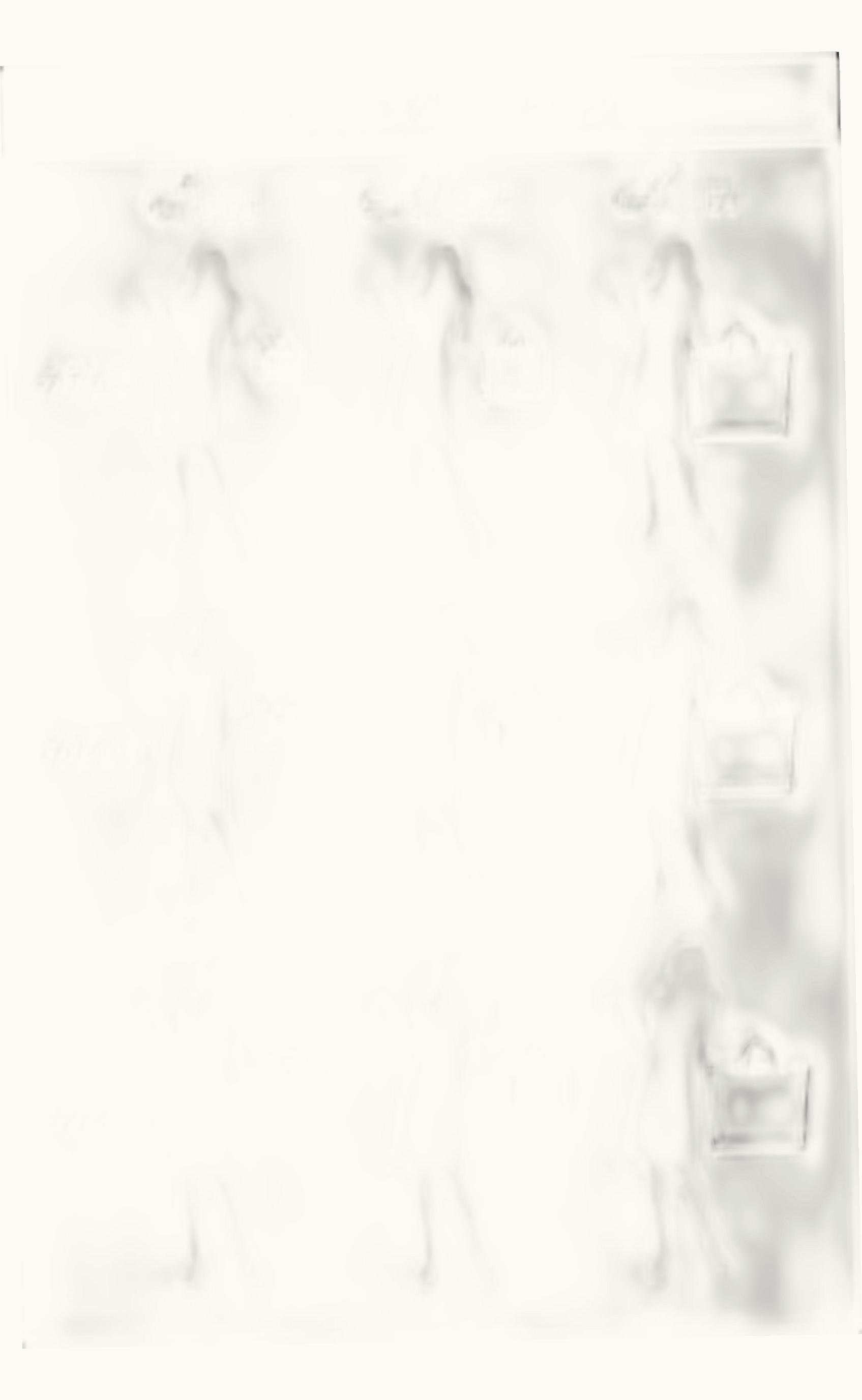 Chopard Alpine Eagle 36 Stainless Steel - Rose Gold  - Diamond / MOP