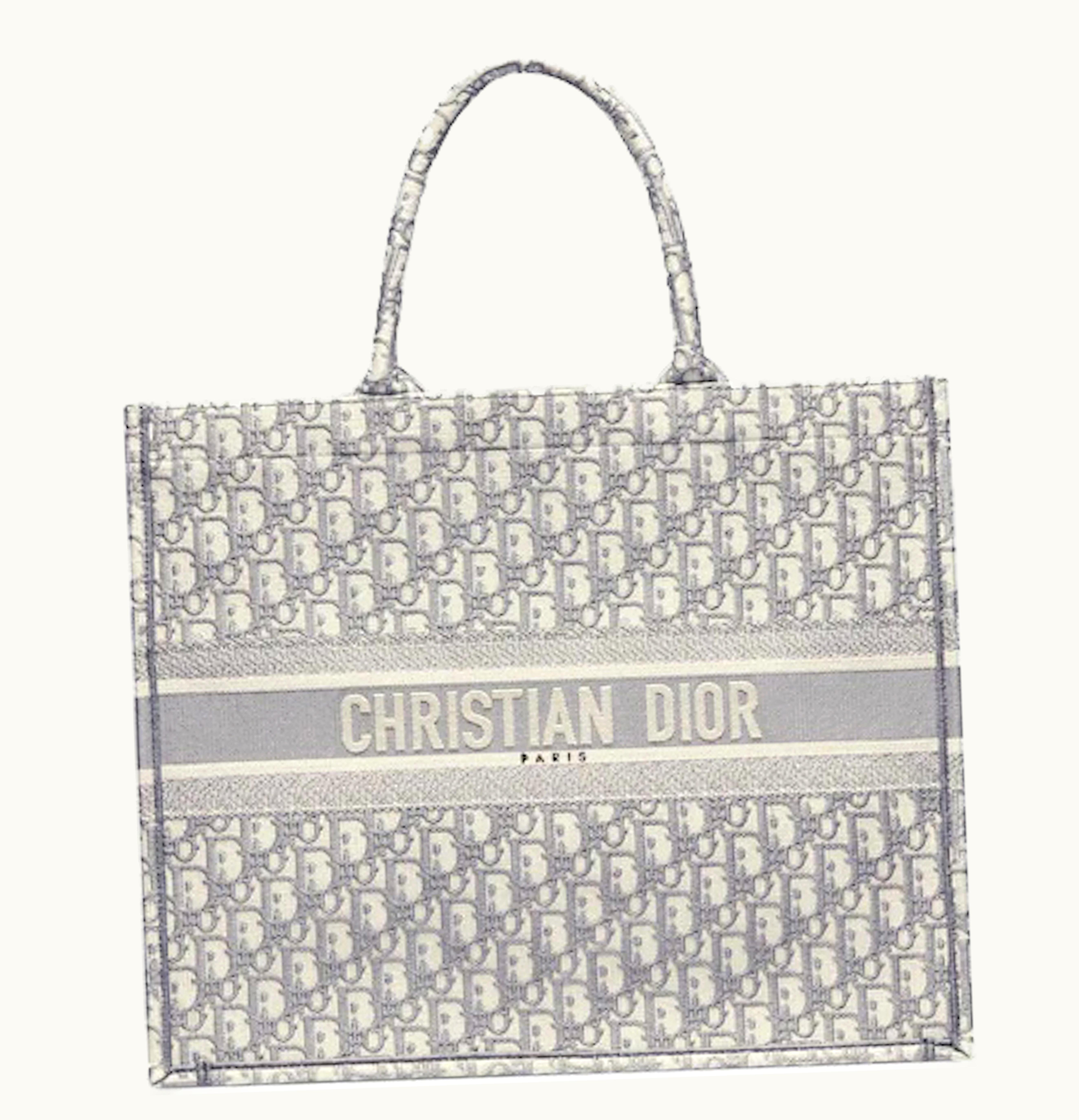 Dior Dior Book Tote Oblique Embroidery Gray