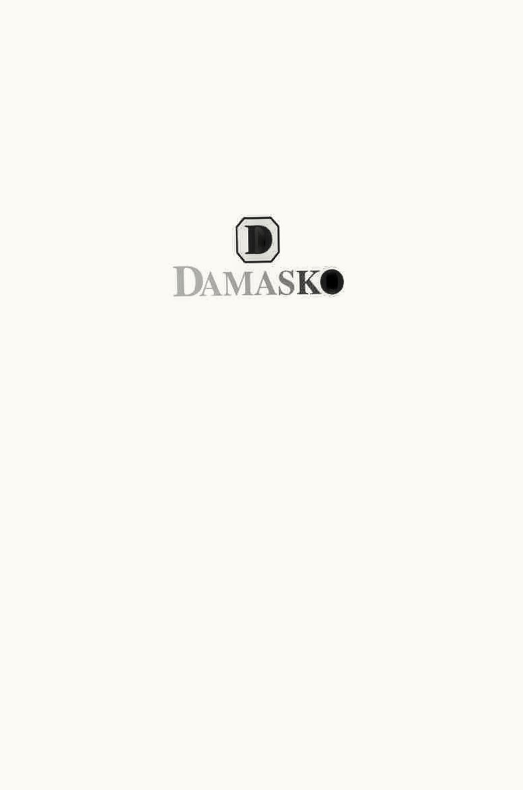 Damasko DH 1.0