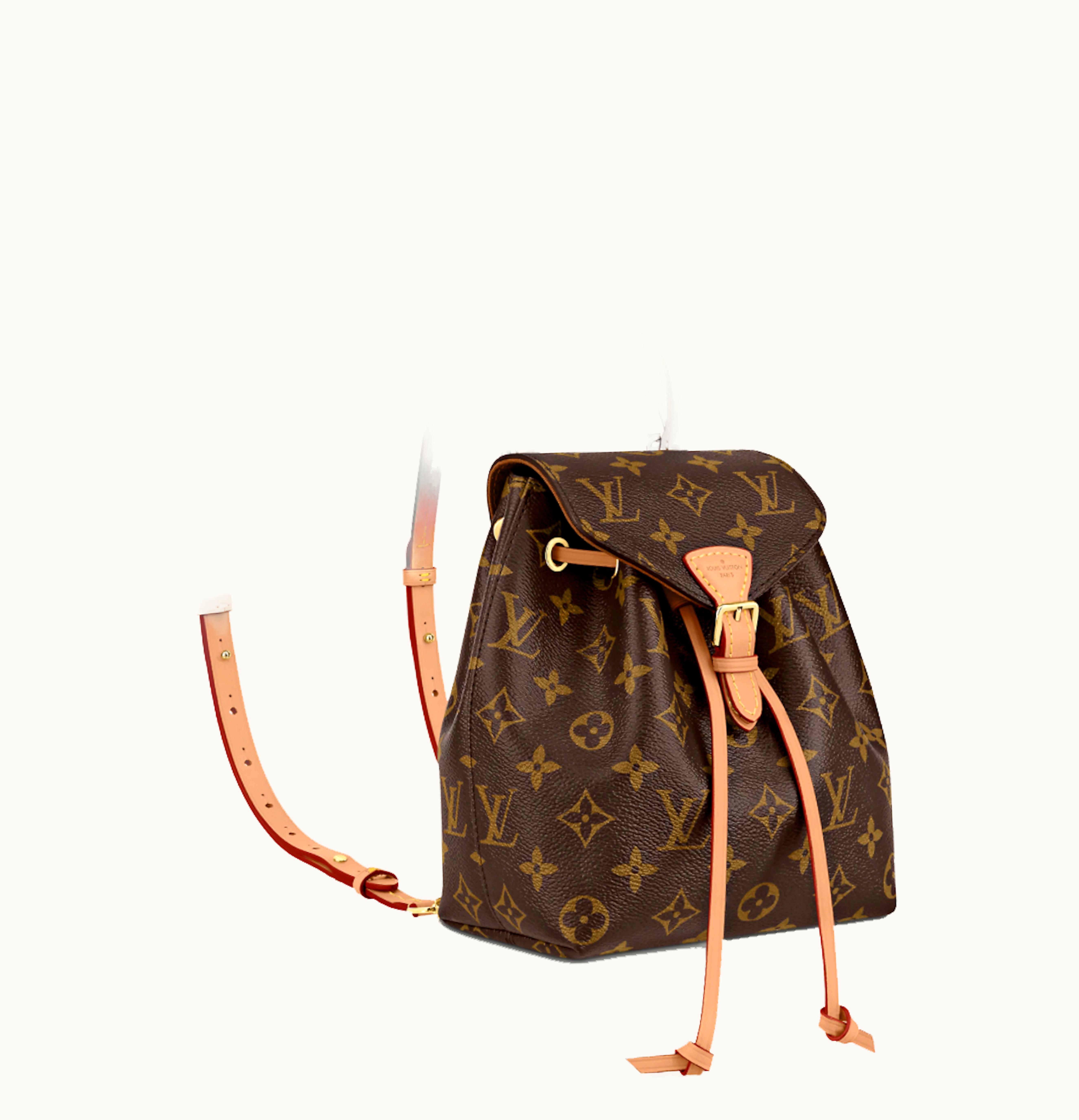 Louis Vuitton Louis Vuitton Montsouris Backpack BB