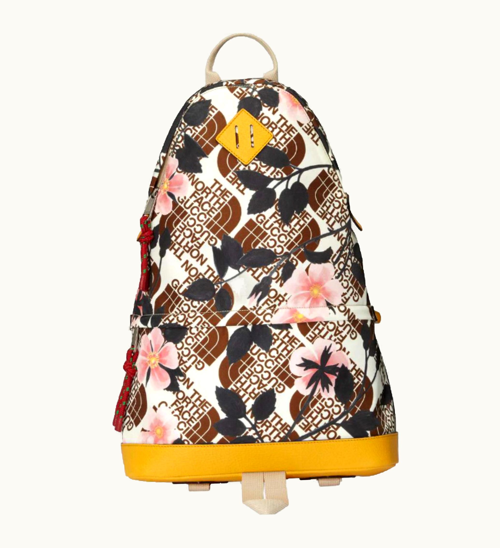 Gucci Gucci x TNF Backpack Brown Multi