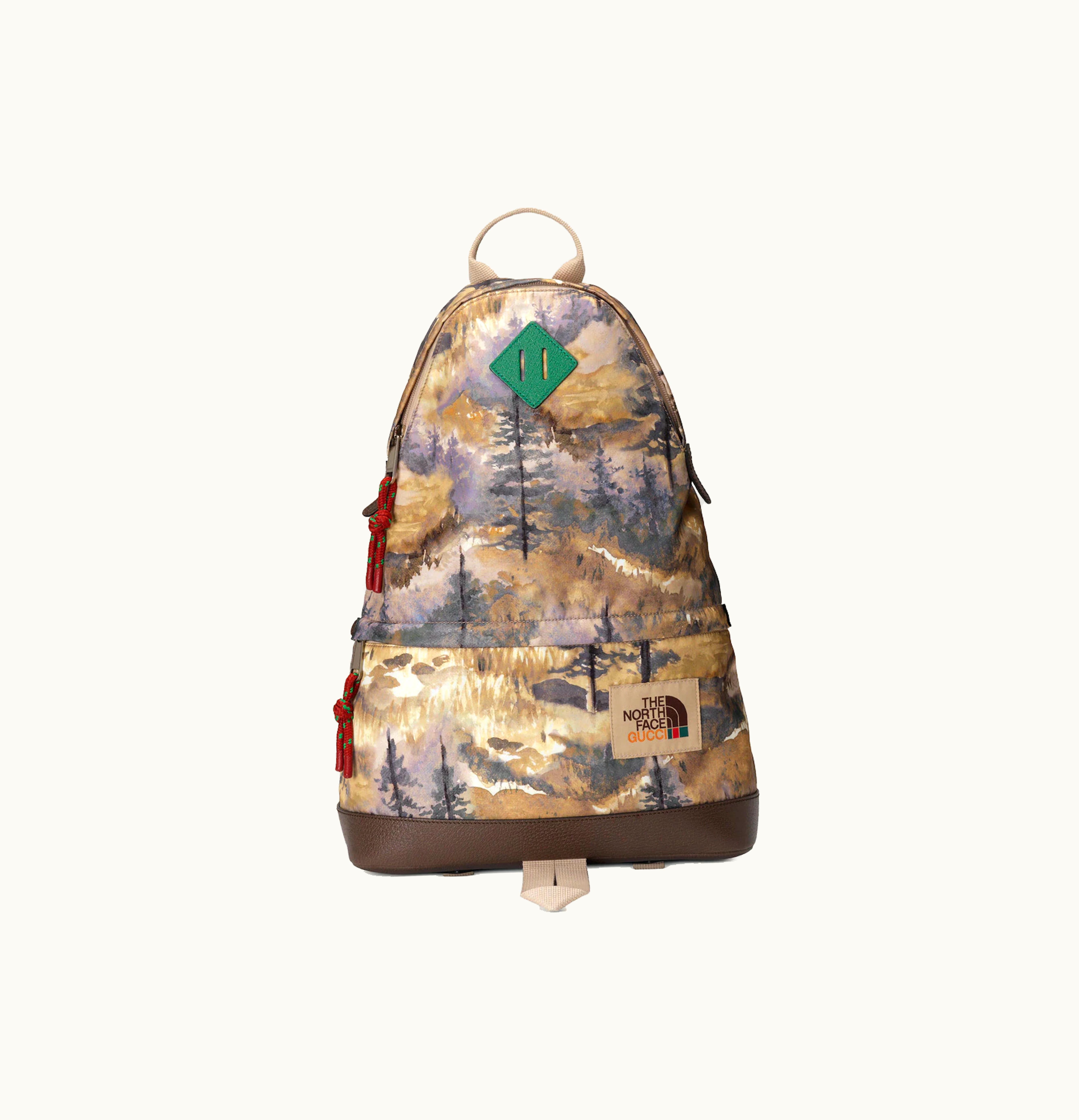 Gucci Gucci x The North Face Backpack Multicolor