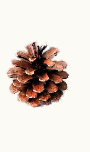 IWC Big Pilot’s Watch Annual Calendar Edition Le Petit Prince Stainless Steel