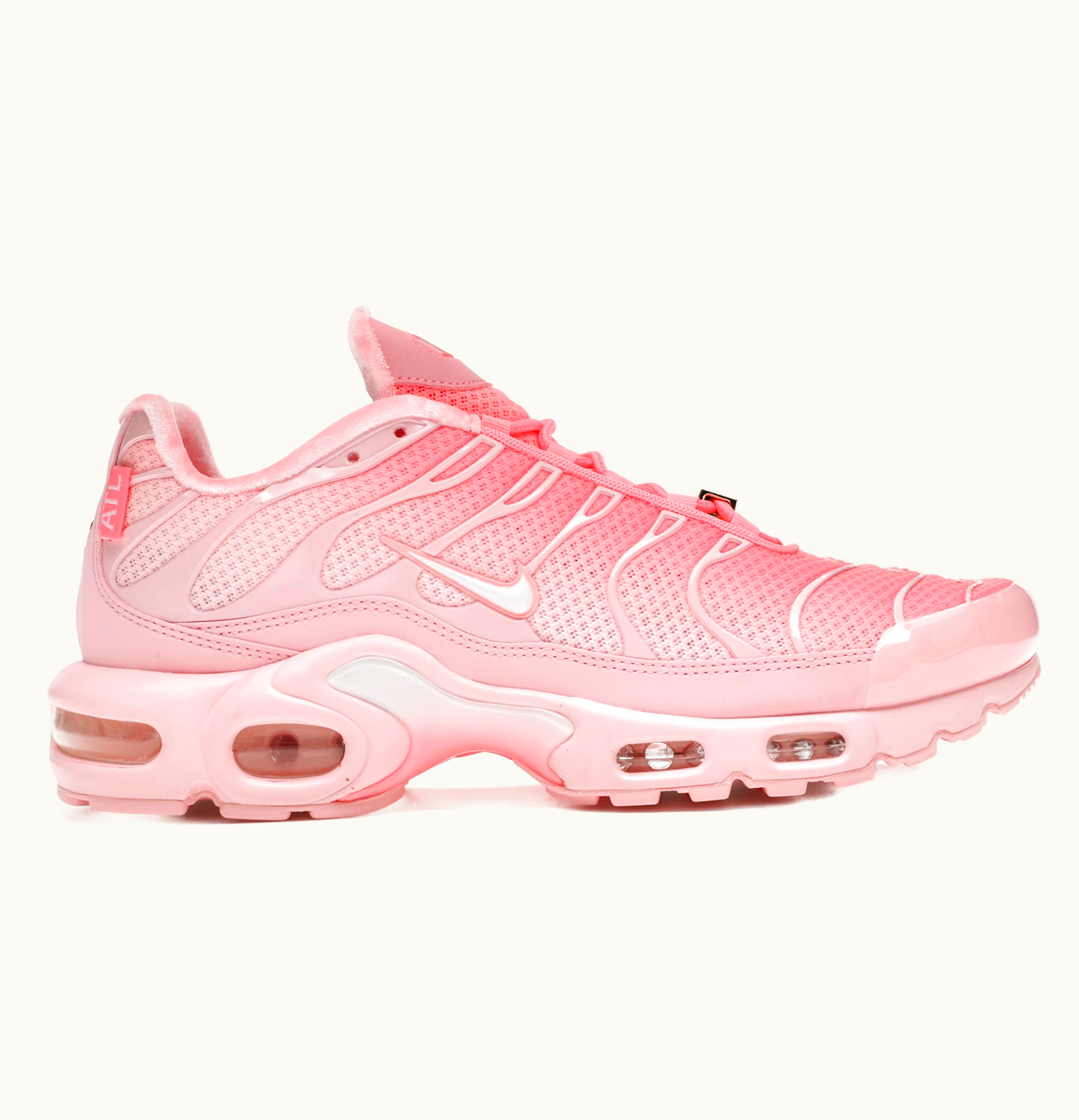 Nike Nike Air Max Plus City Special ATL W
