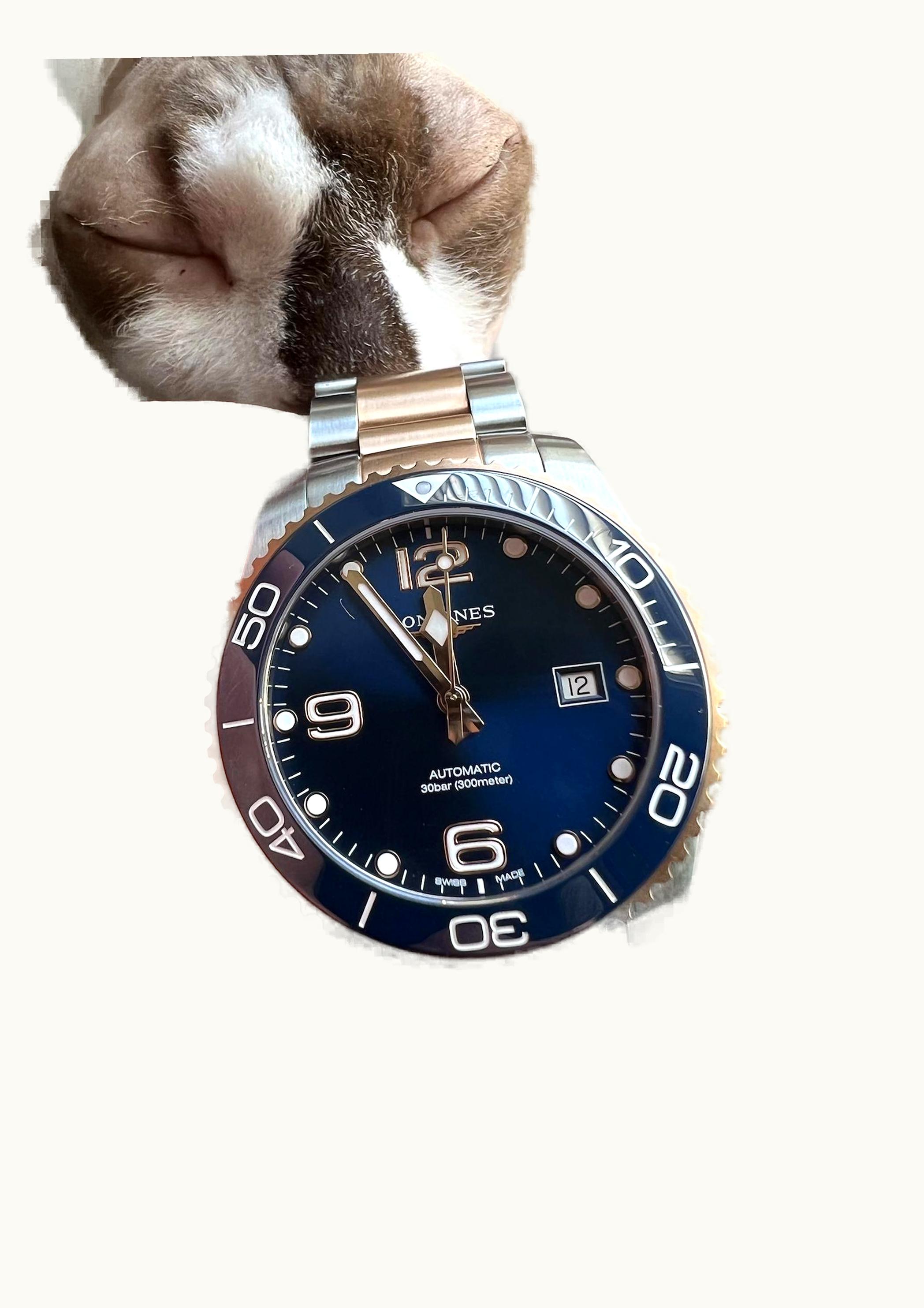 Longines HydroConquest 43 Automatic Stainless Steel - Pink Gold / Blue / Bracelet