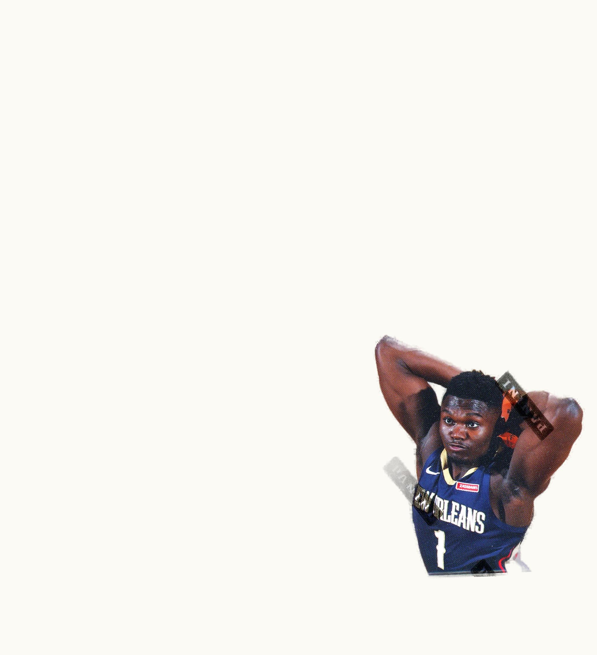 Panini Basketball Fast Break