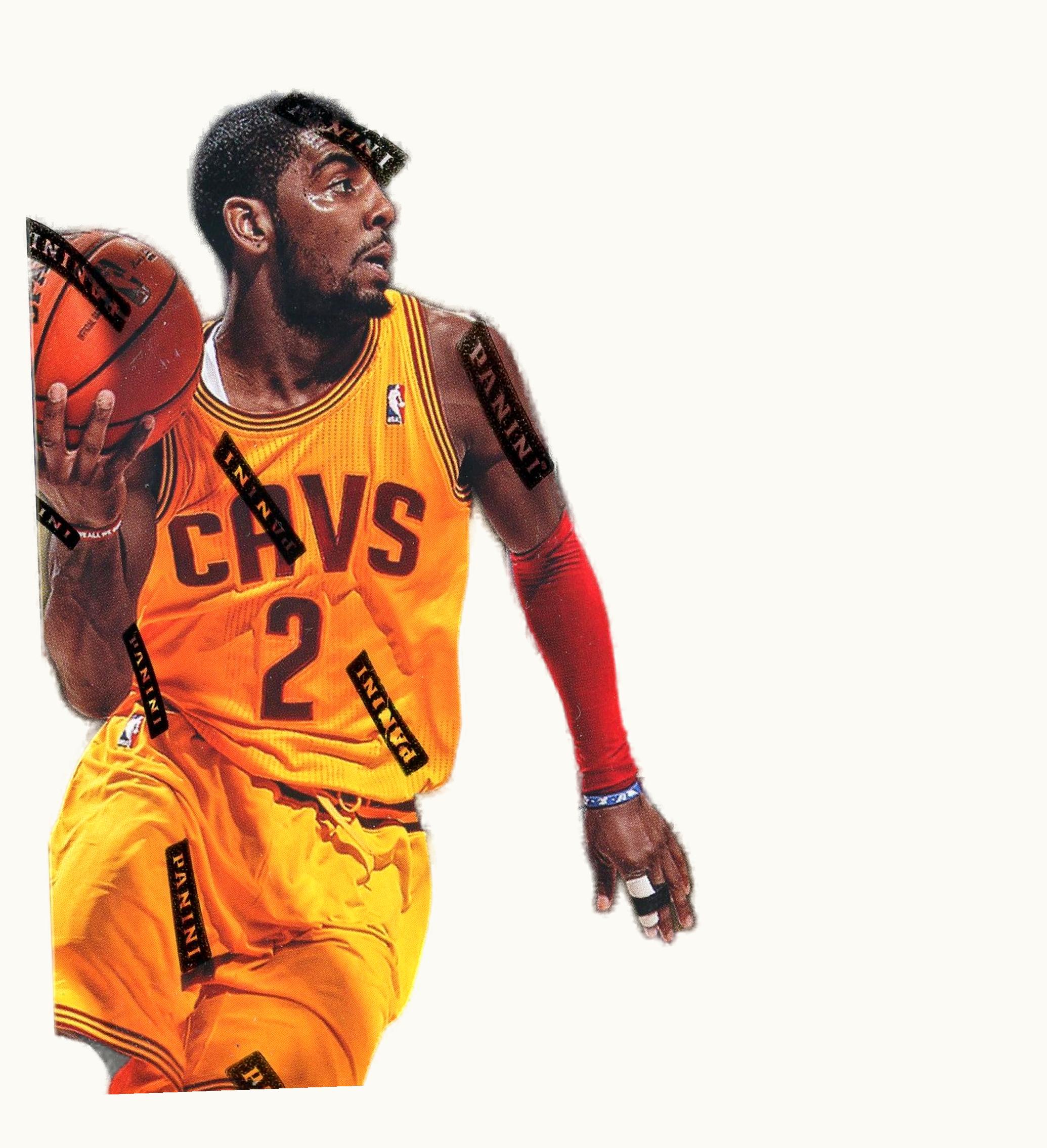 Panini Basketball Hobby Box