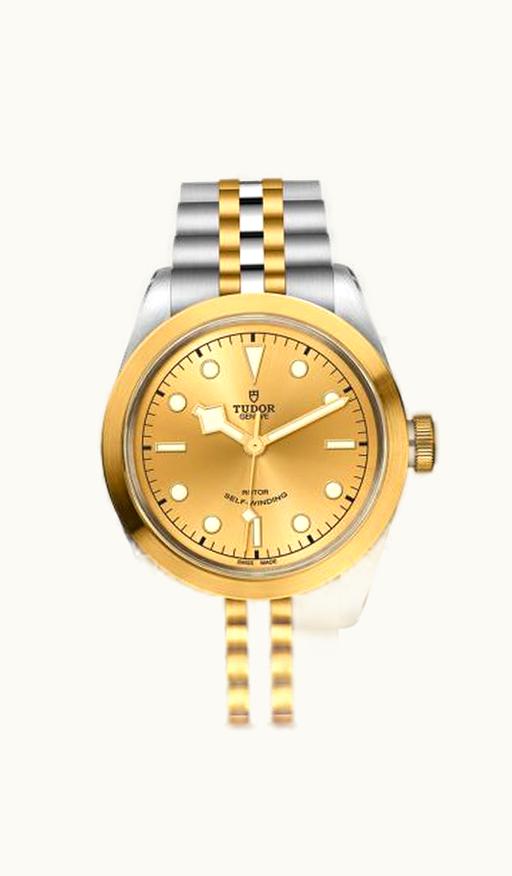 Omega Constellation Quartz 24 Brushed Stainless Steel / Yellow Gold / Diamond / Champagne Supernova