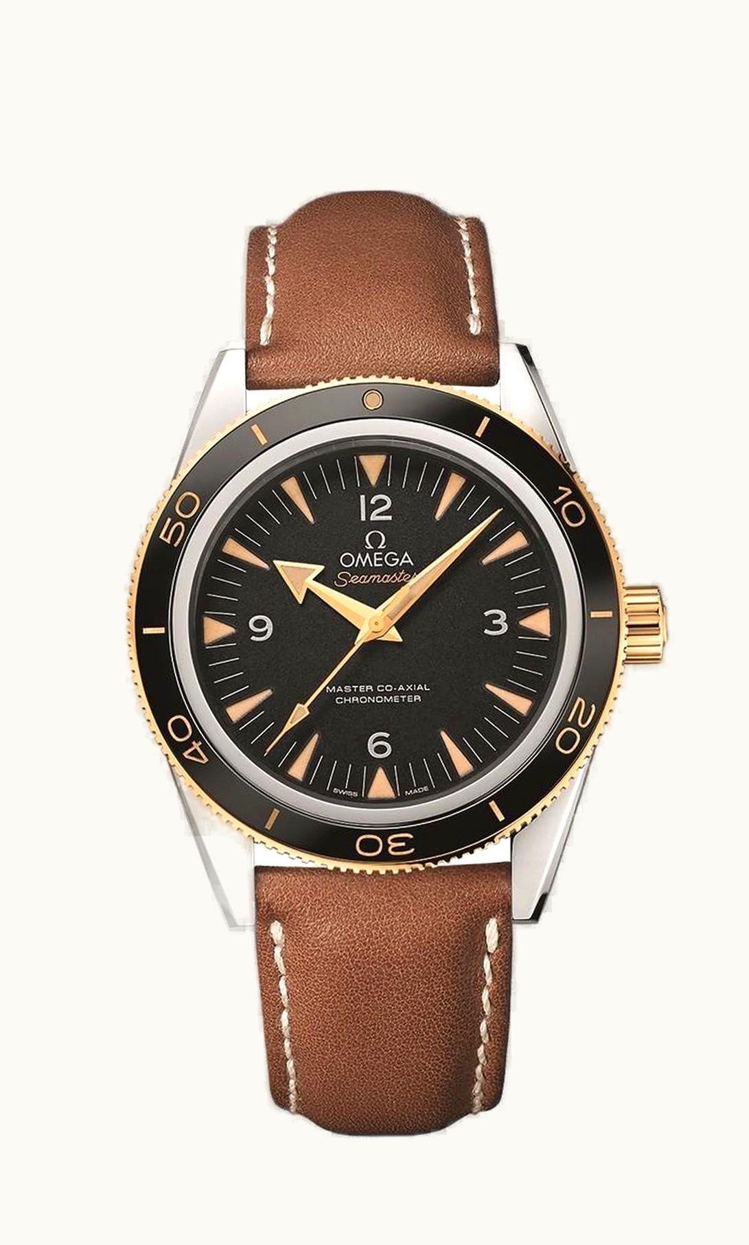 Omega Seamaster 300 Master Co-Axial Steel Stainless Steel / Yellow Gold / Black / Strap