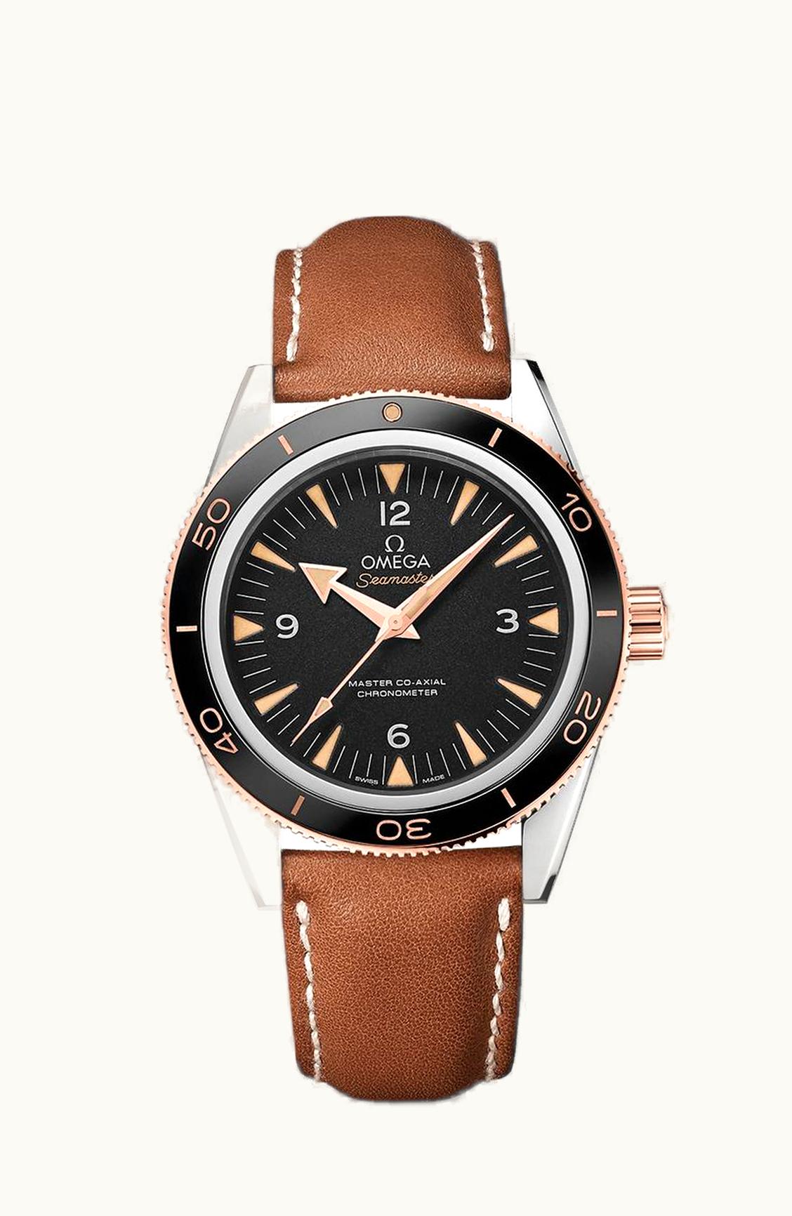 Omega Seamaster 300 Master Co-Axial Steel Stainless Steel / Sedna Gold / Strap