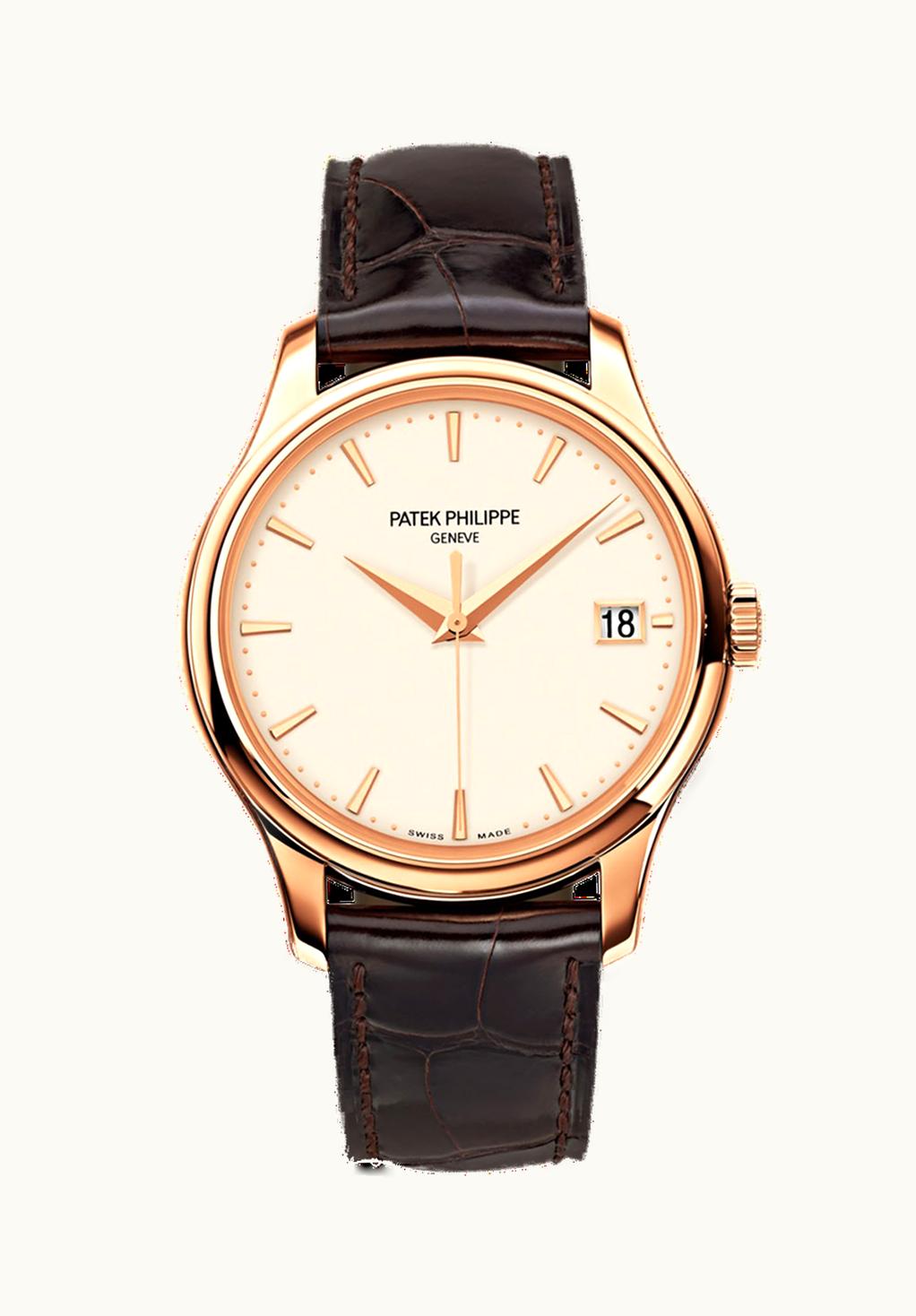 Patek Philippe Calatrava 5077 White Gold / Portrait of Flowers