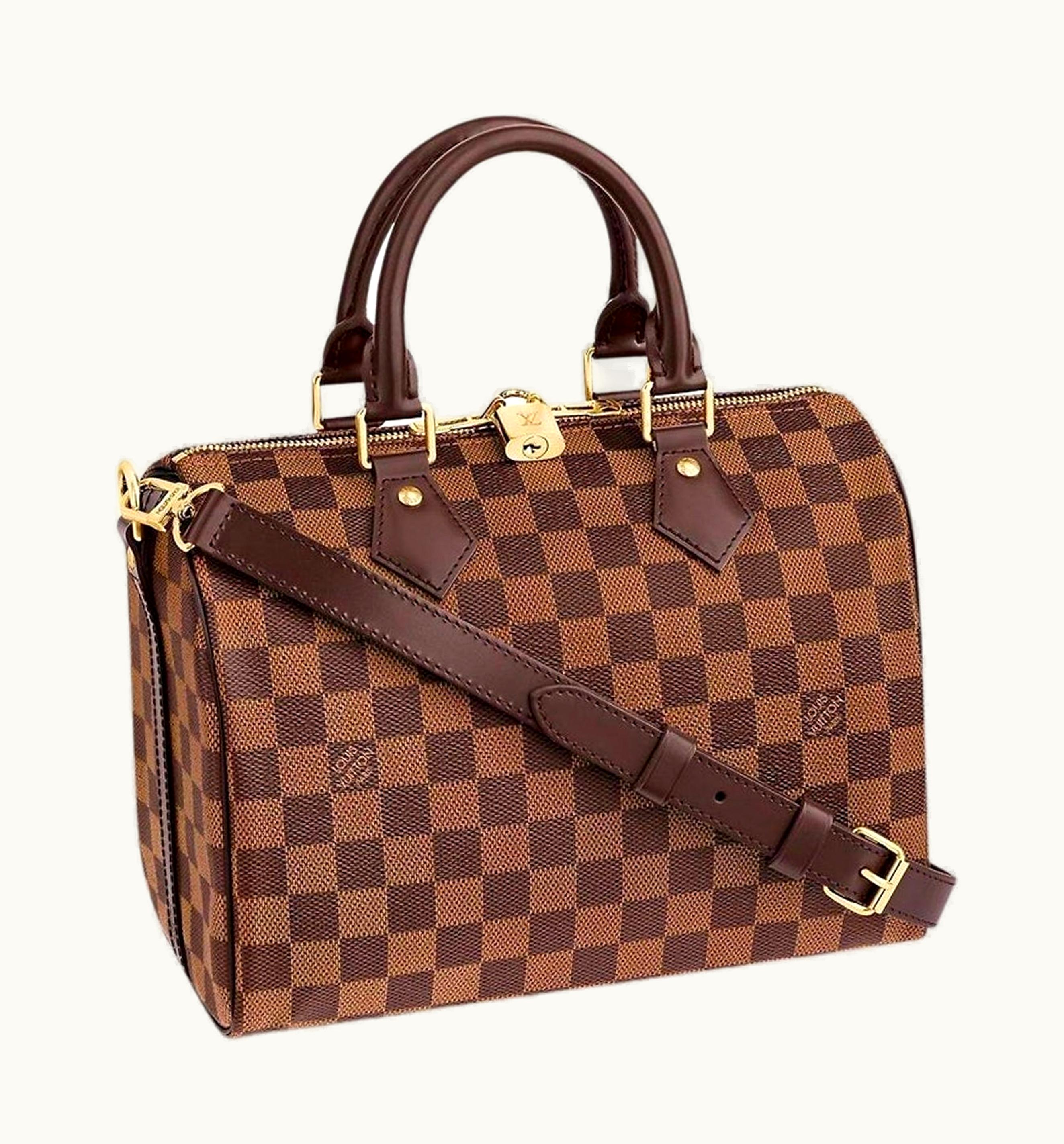 Louis Vuitton Louis Vuitton Speedy Bandouliere Damier Ebene 25 Brown
