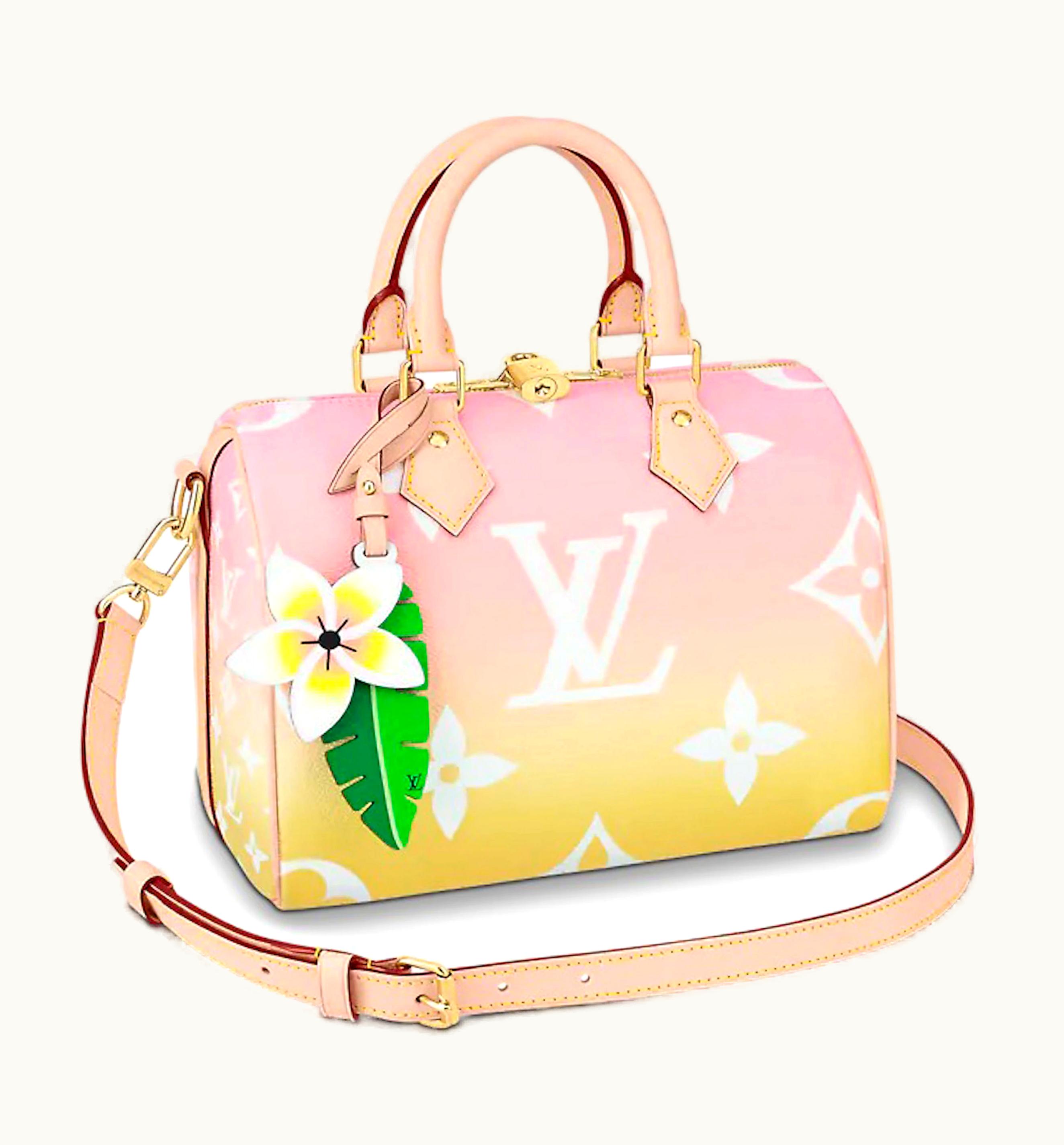 Louis Vuitton Louis Vuitton Speedy Bandouliere Gradient Pastel 25 Light Pink