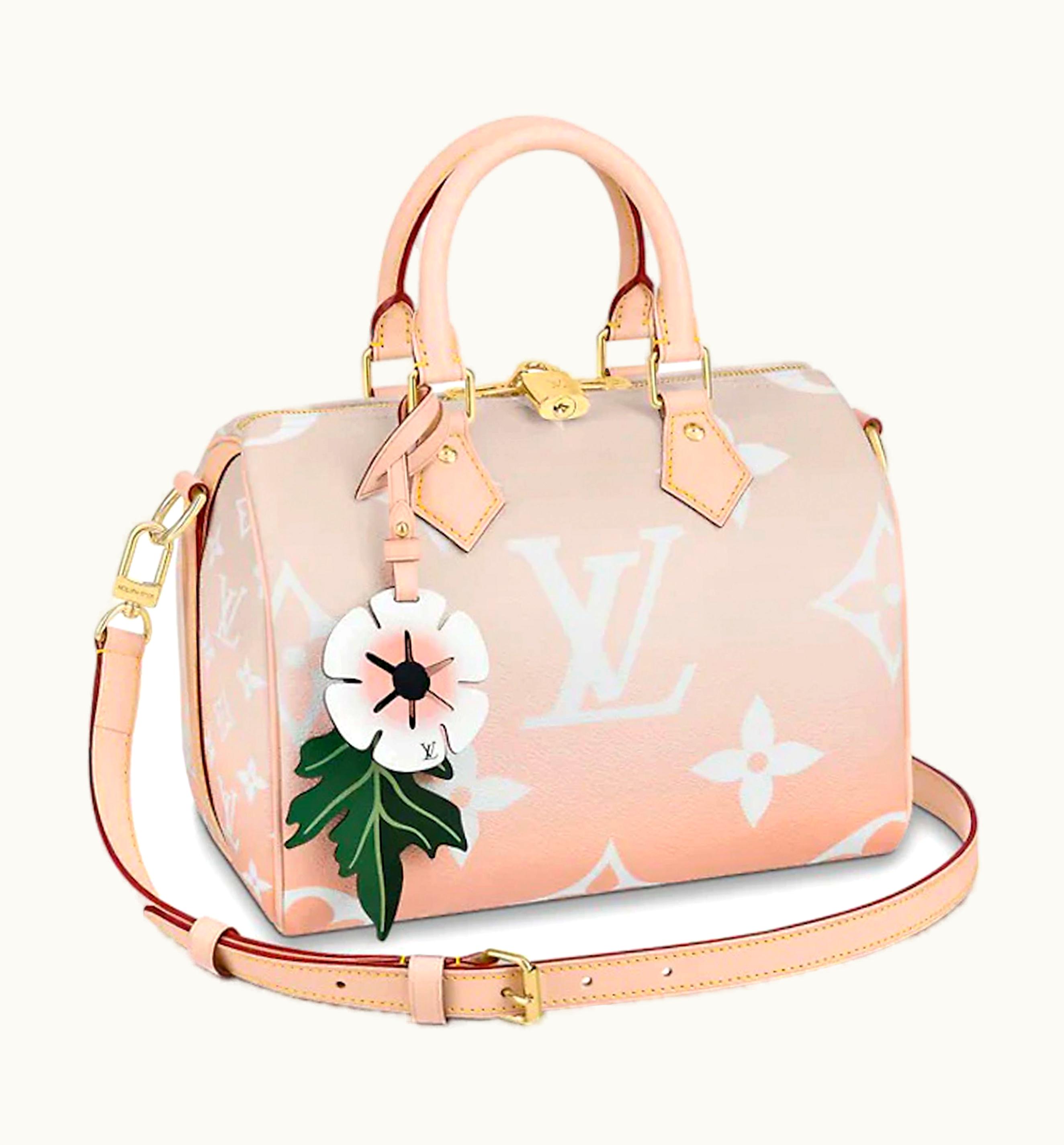 Louis Vuitton Louis Vuitton Speedy Bandouliere Gradient Pastel 25 Mist Gray