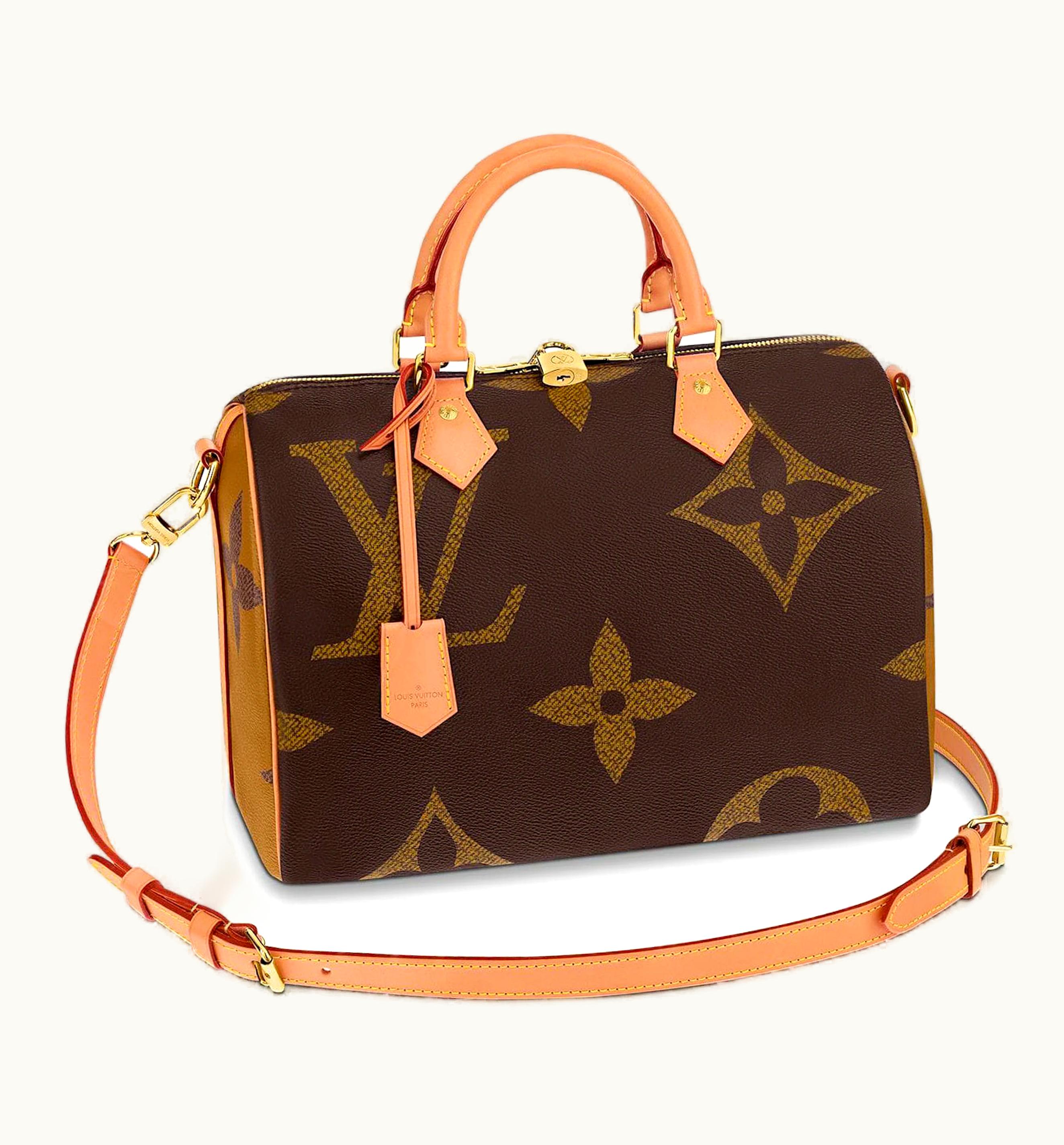 Louis Vuitton Louis Vuitton Speedy Bandouliere Monogram Giant Reverse 30 Brown