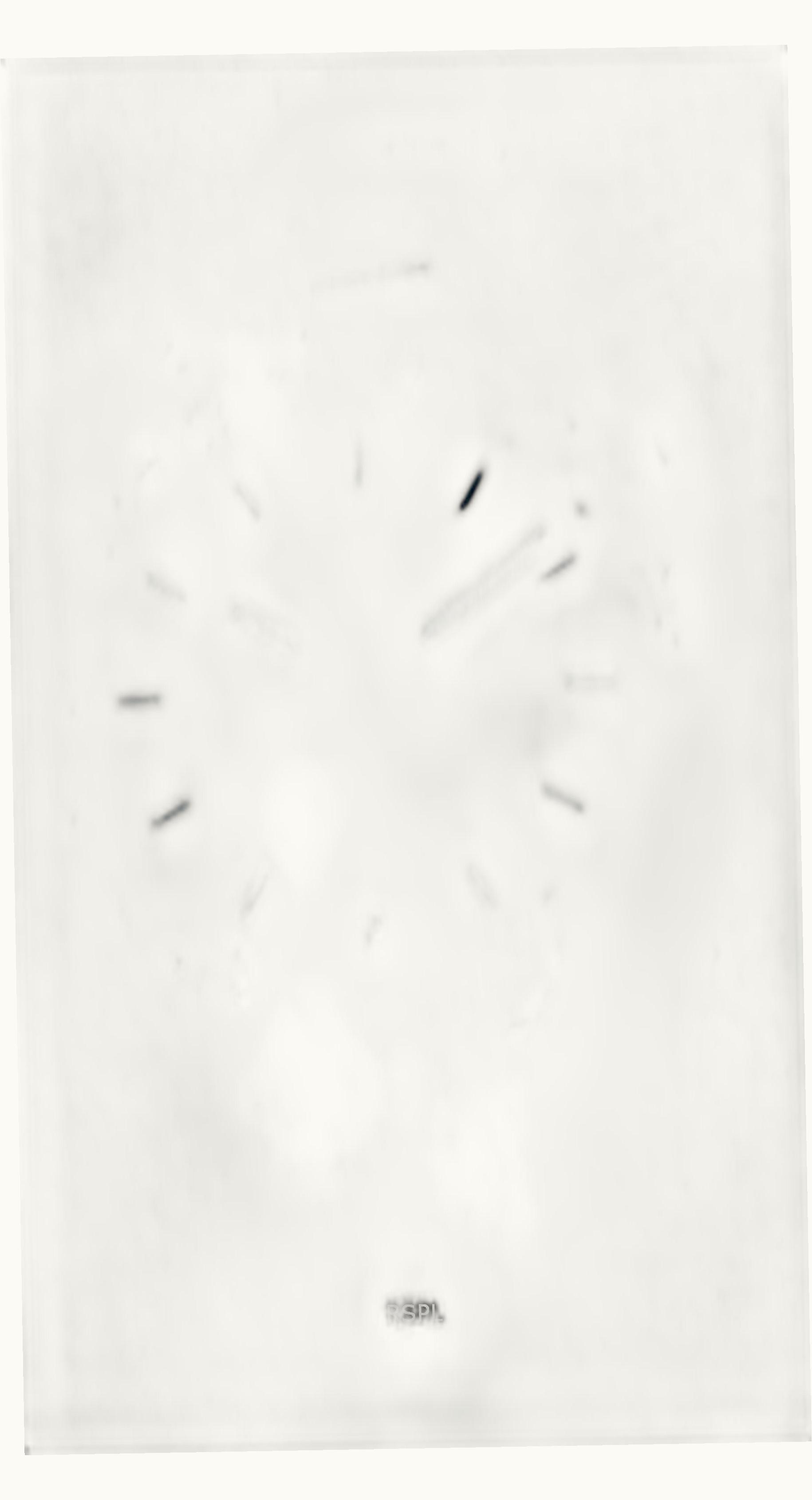 Tissot PR 100 Sport Chic 36 Stainless Steel / MOP / Bracelet