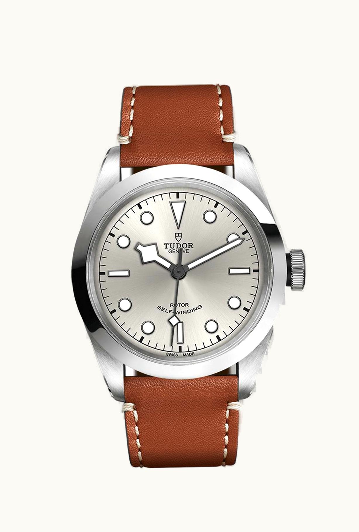 Tudor Heritage Black Bay 41 Silver / Brown Leather