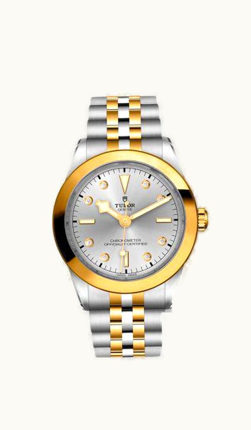 Tudor Black Bay 39 S&G / Silver - Diamond / Bracelet