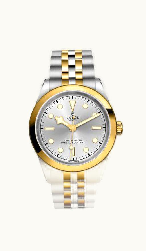 Tudor Black Bay 41 S&G / Silver / Bracelet