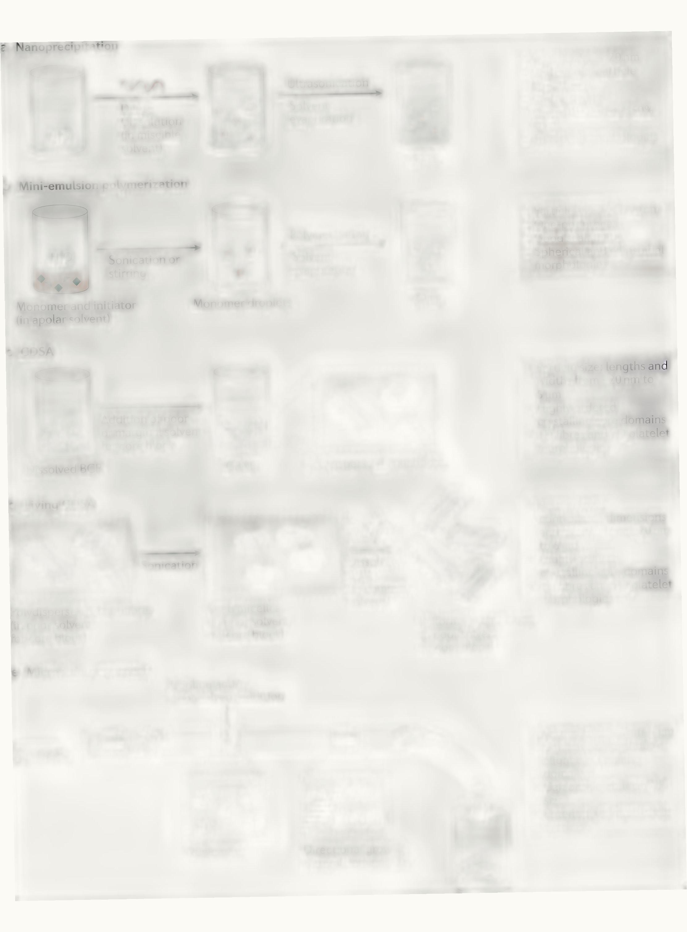 Van der Gang Watches 20029 Rose Gold / Black