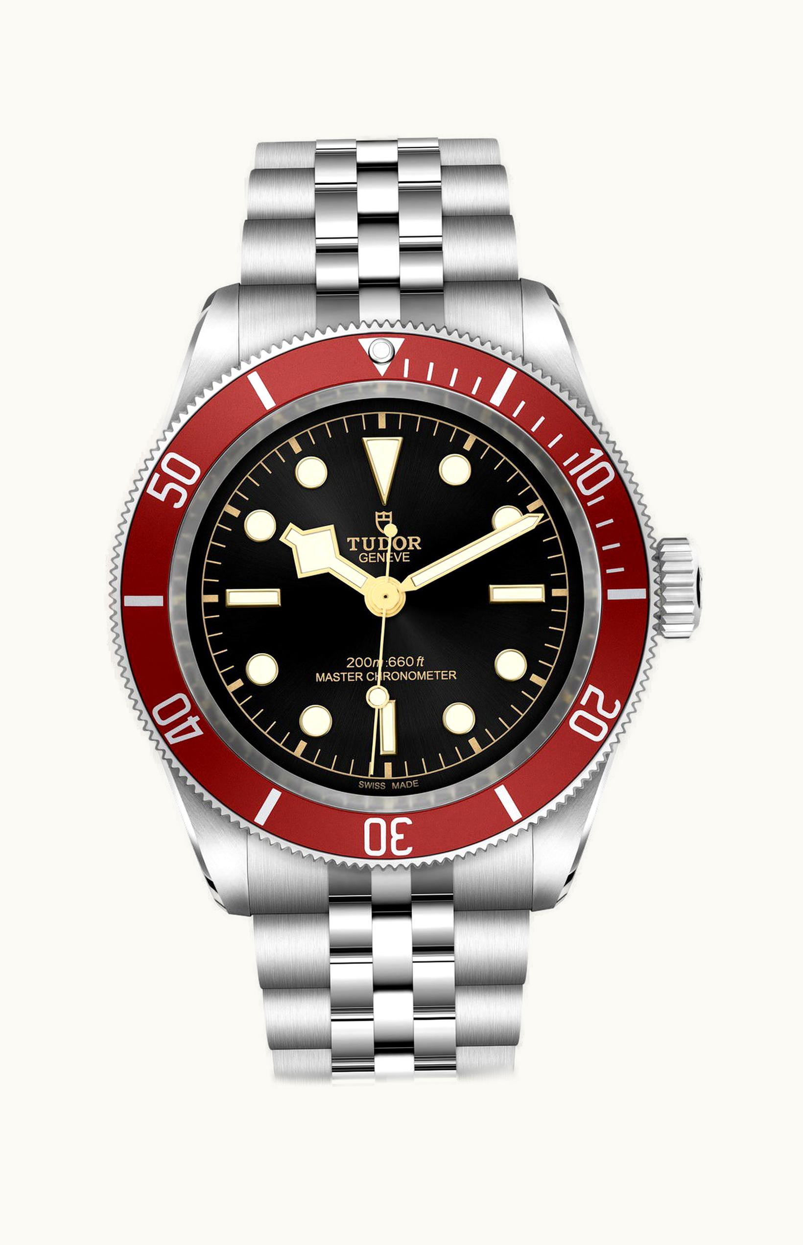 Tudor Black Bay