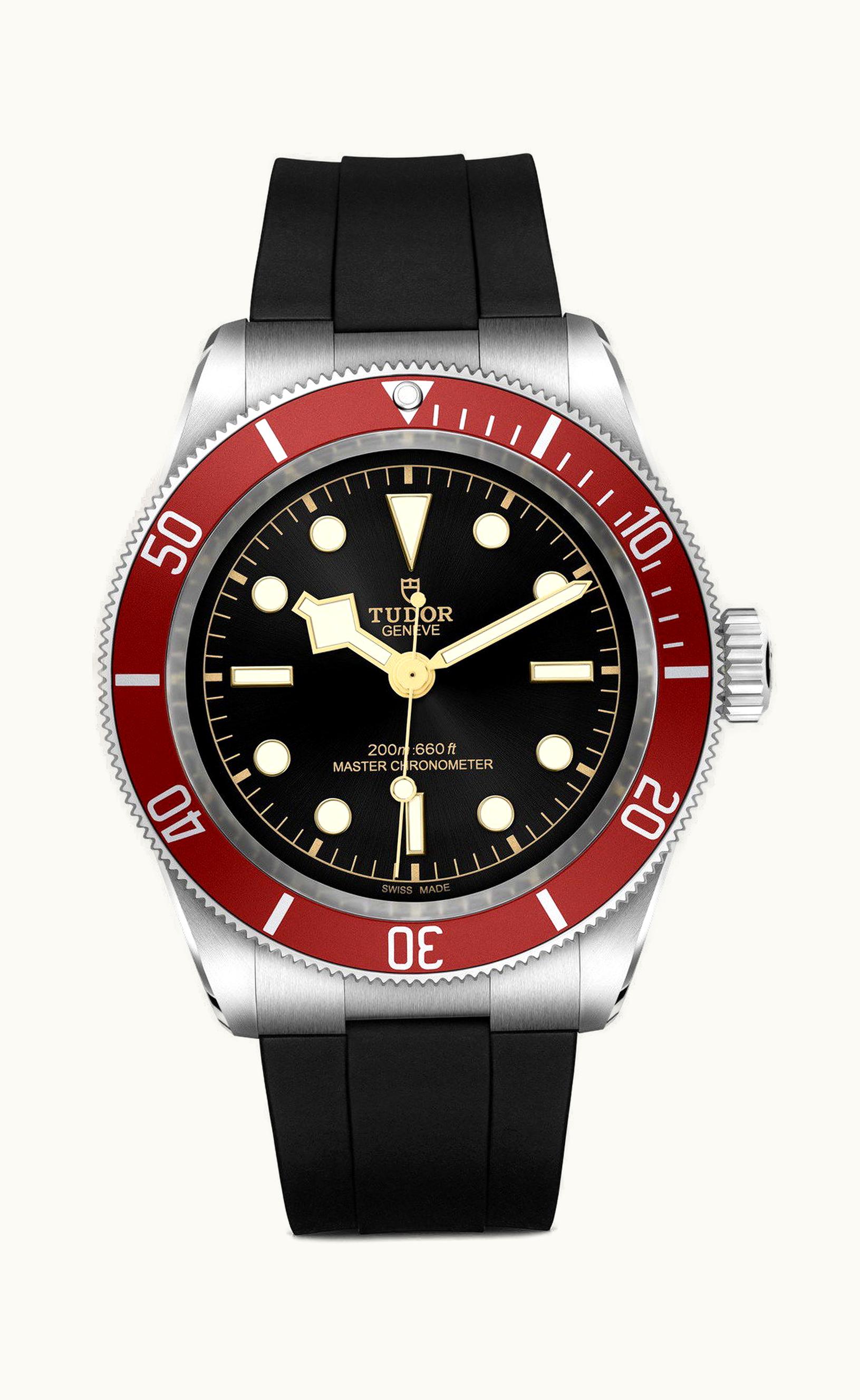 Tudor Black Bay