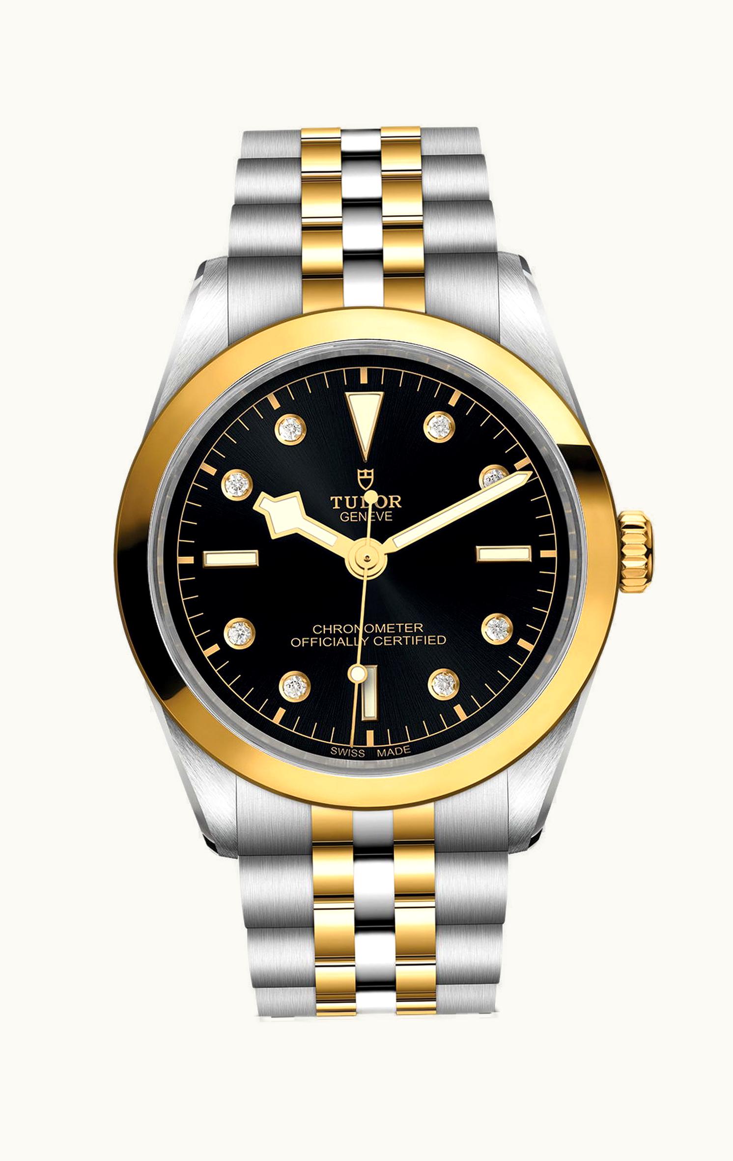 Tudor Black Bay 36 S&G