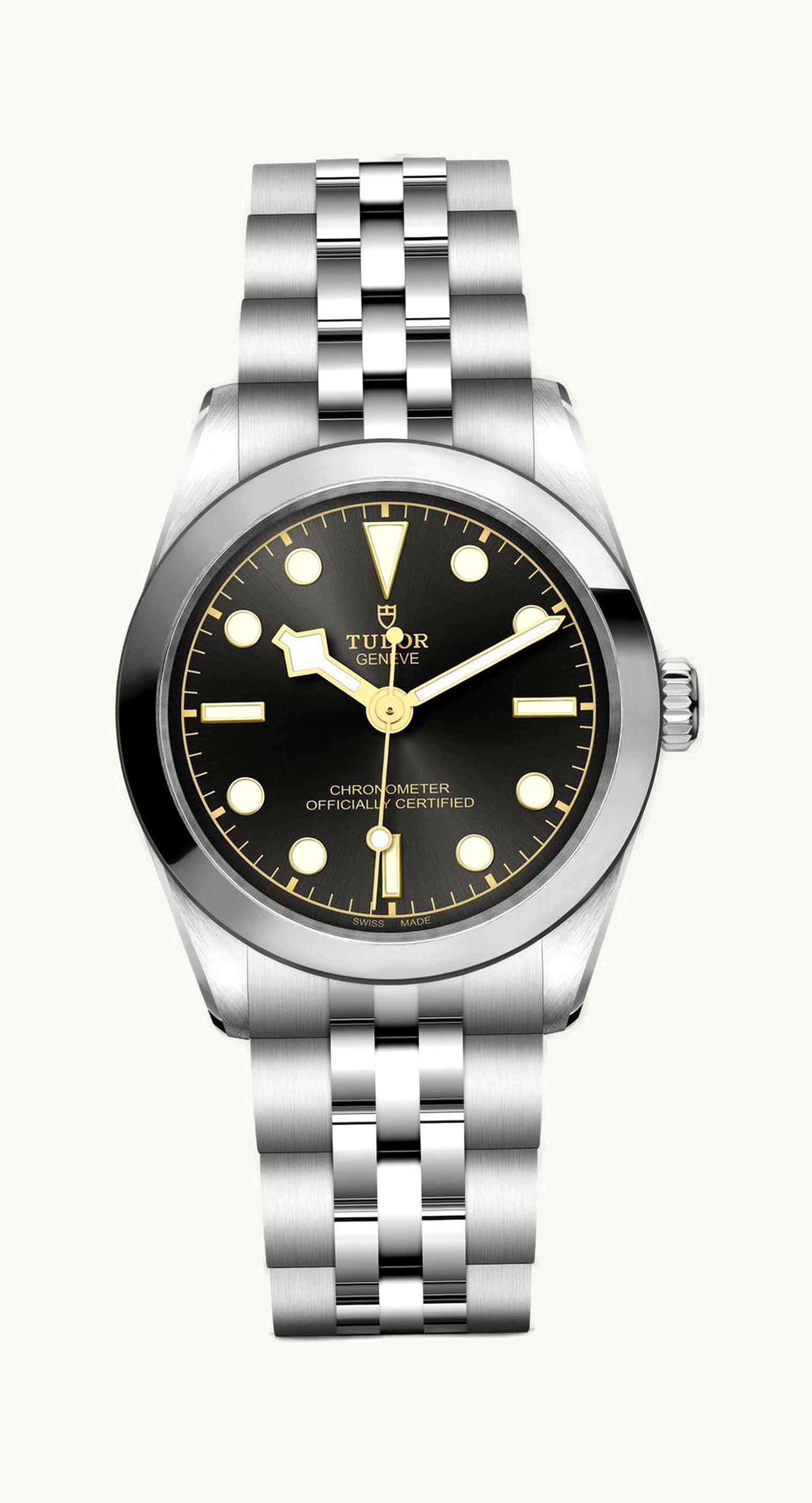Tudor Black Bay 31