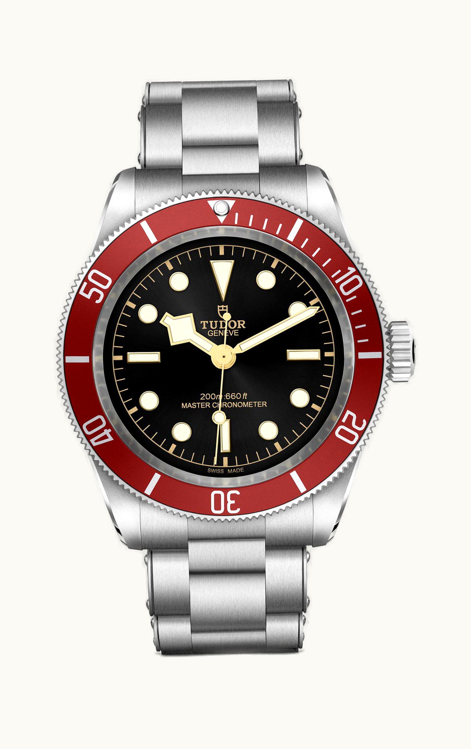 Tudor Black Bay