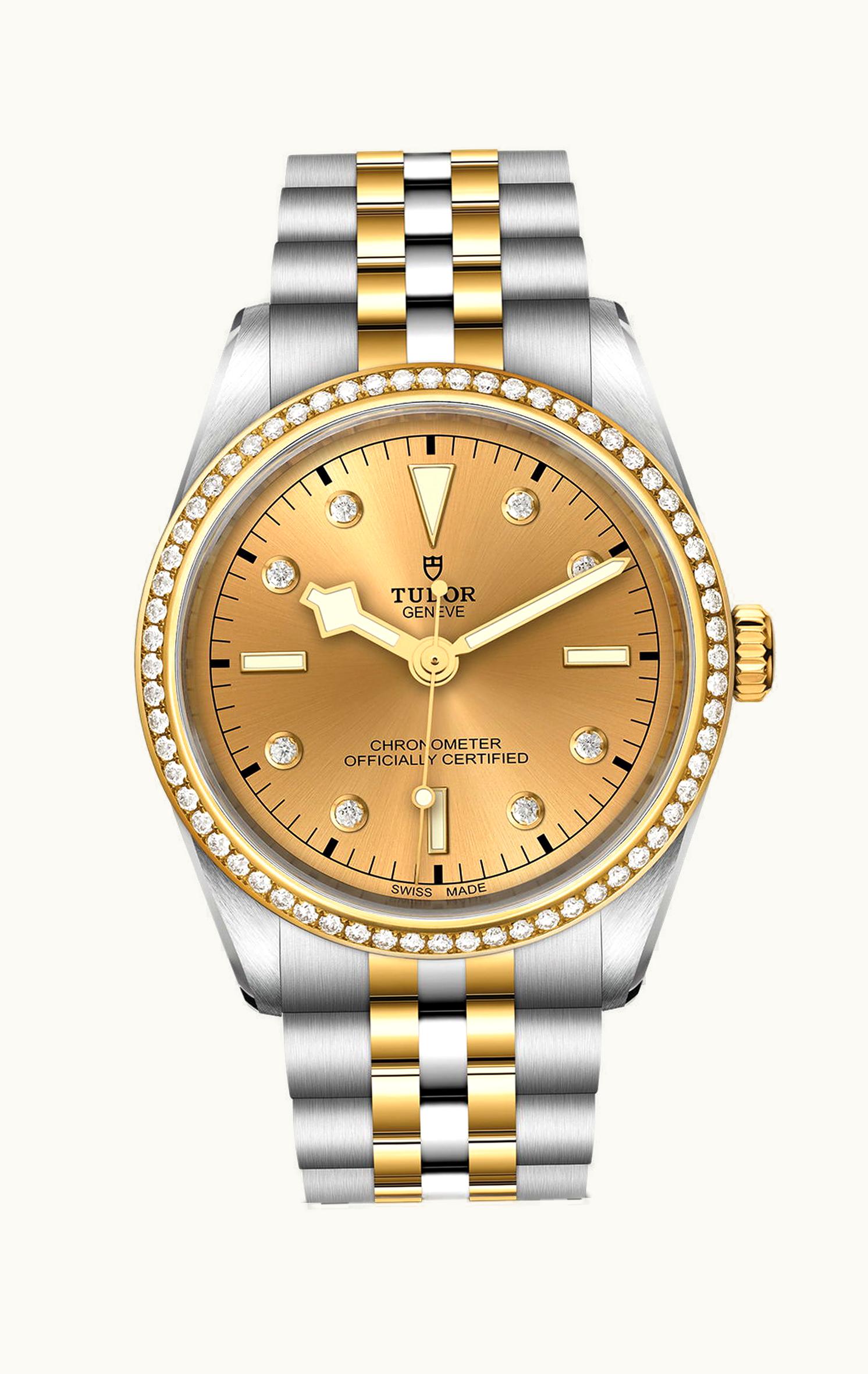 Tudor Black Bay 36 S&G