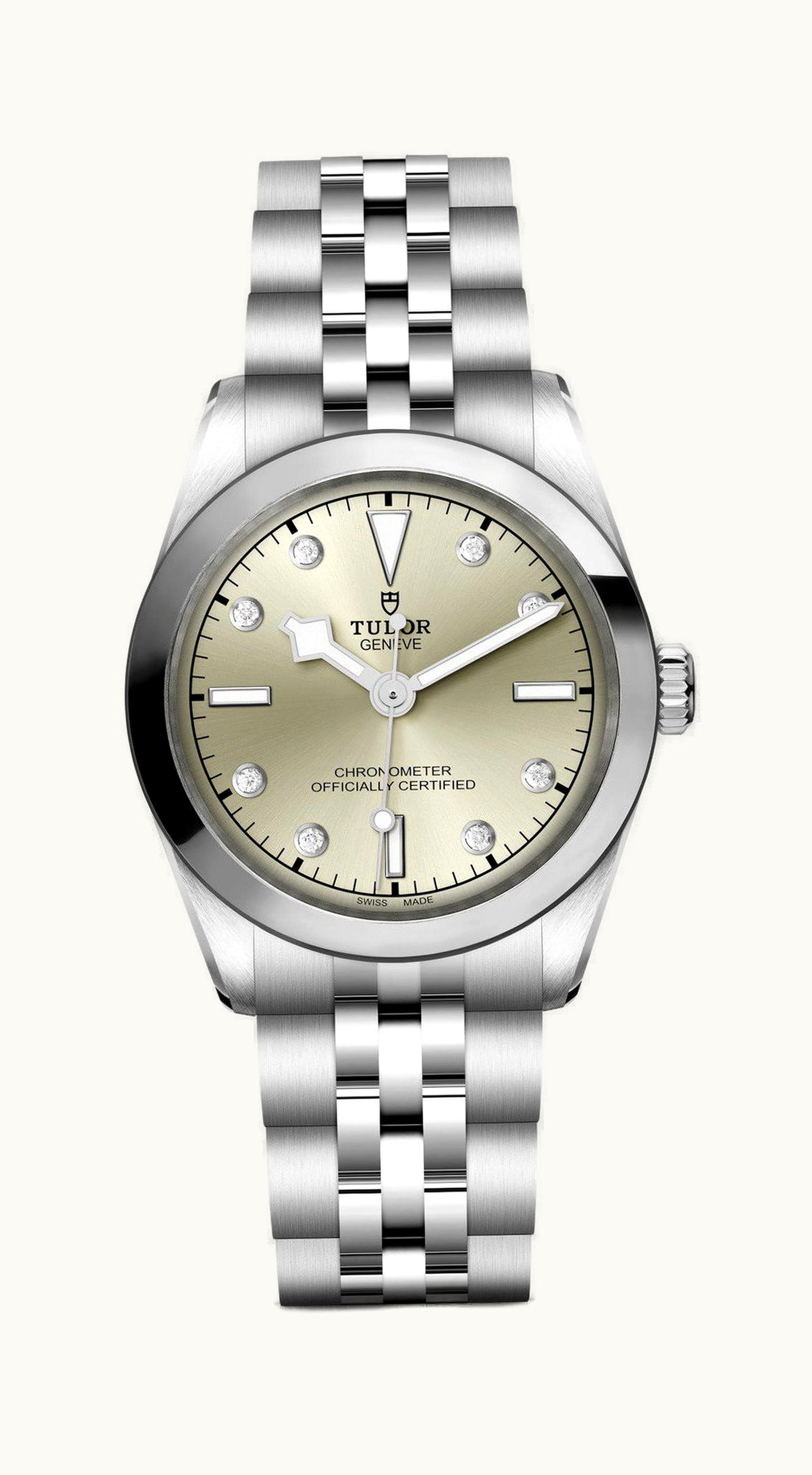 Tudor Black Bay 31