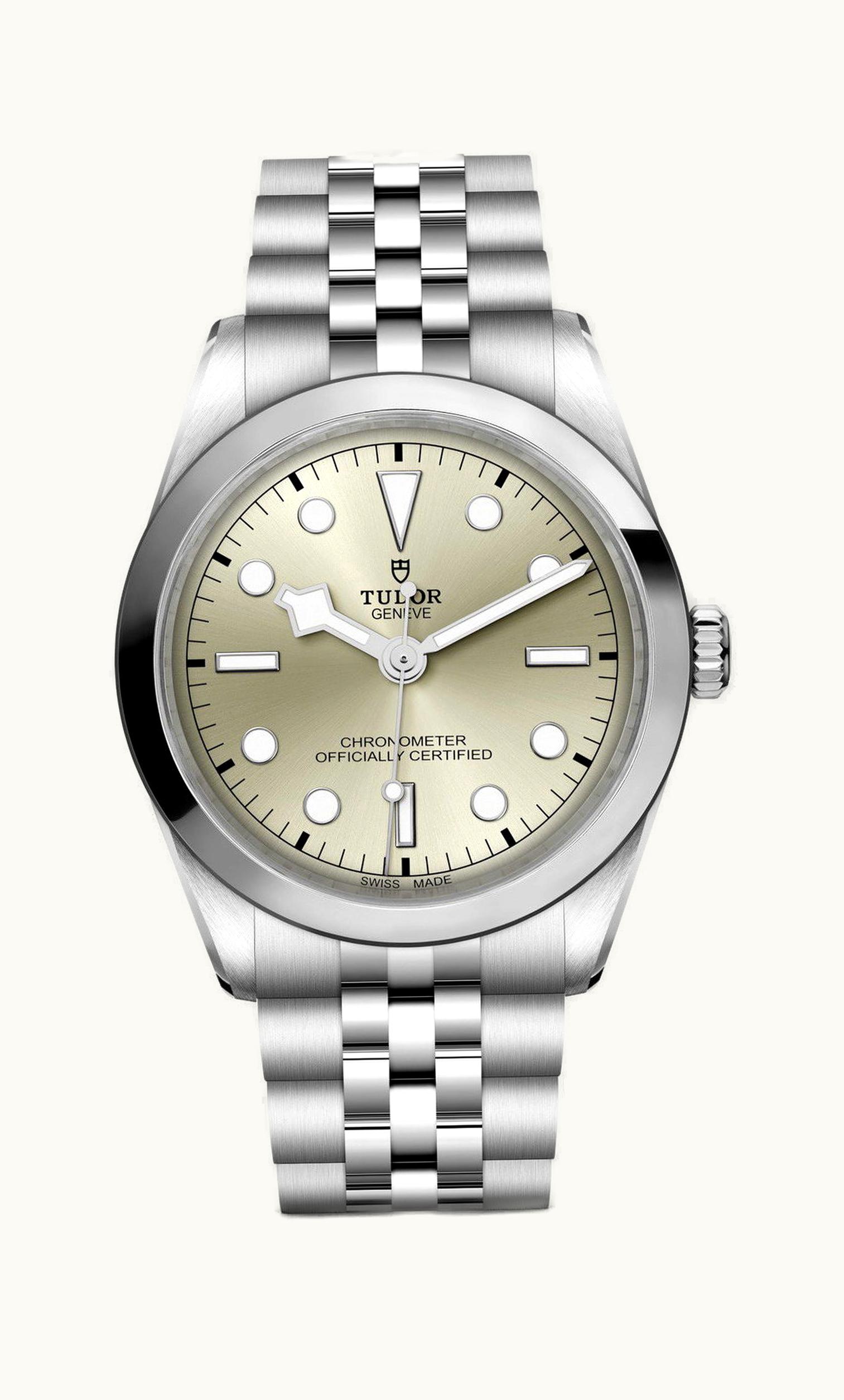 Tudor Black Bay 36