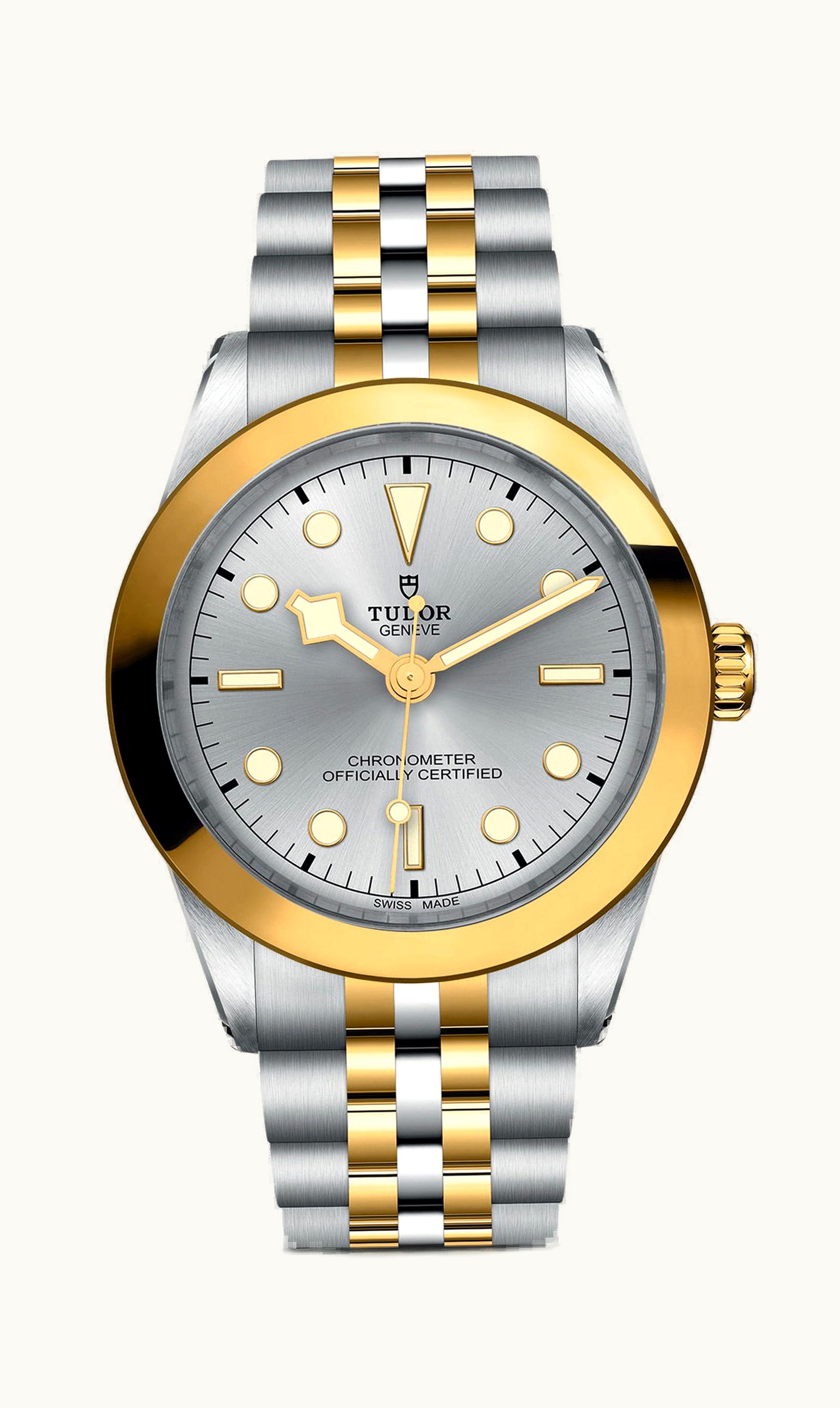 Tudor Black Bay 39 S&G