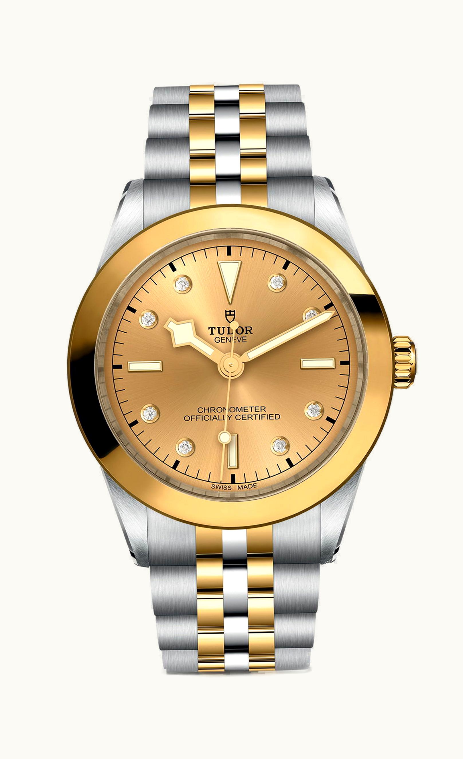 Tudor Black Bay 39 S&G
