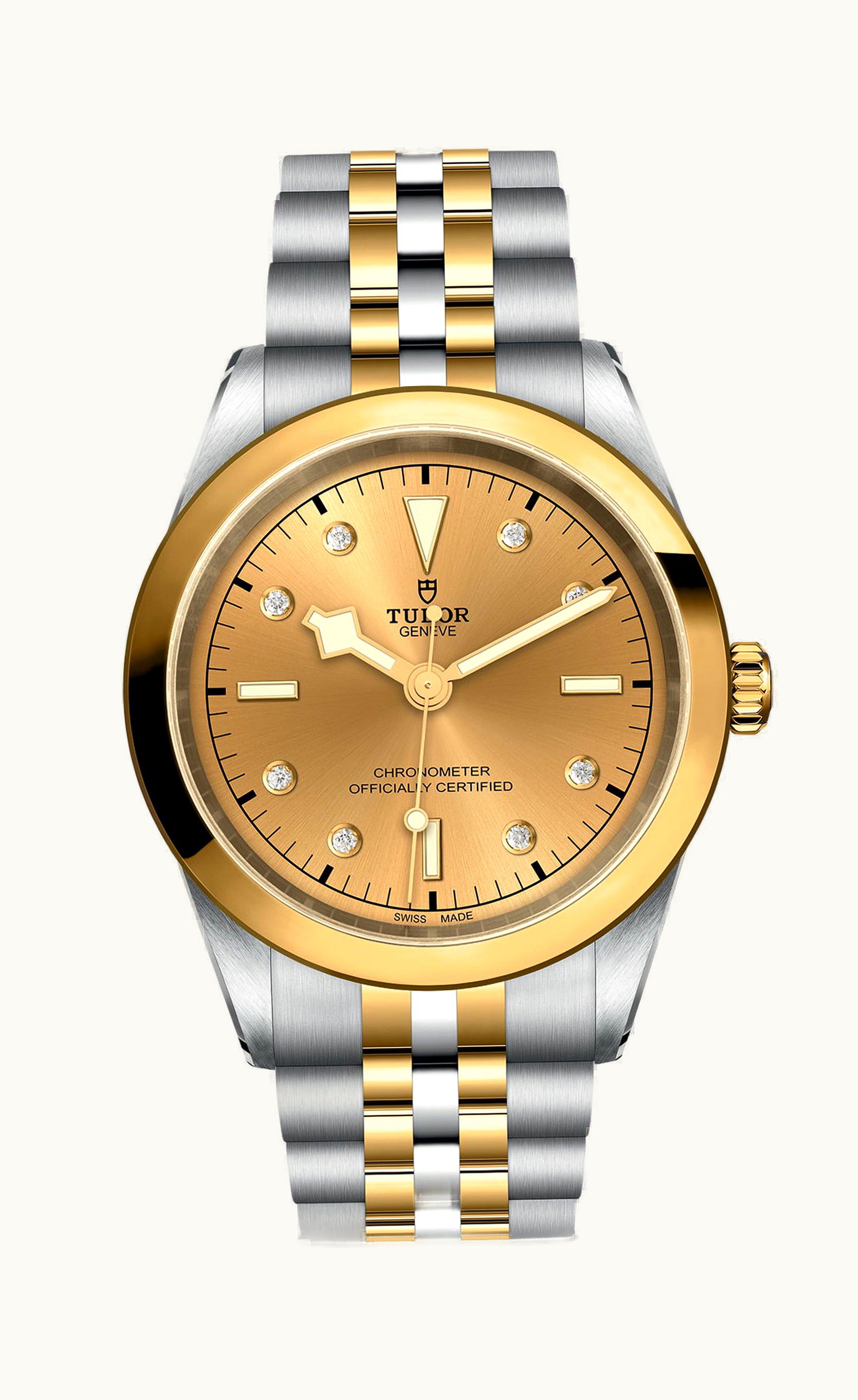 Tudor Black Bay 41 S&G